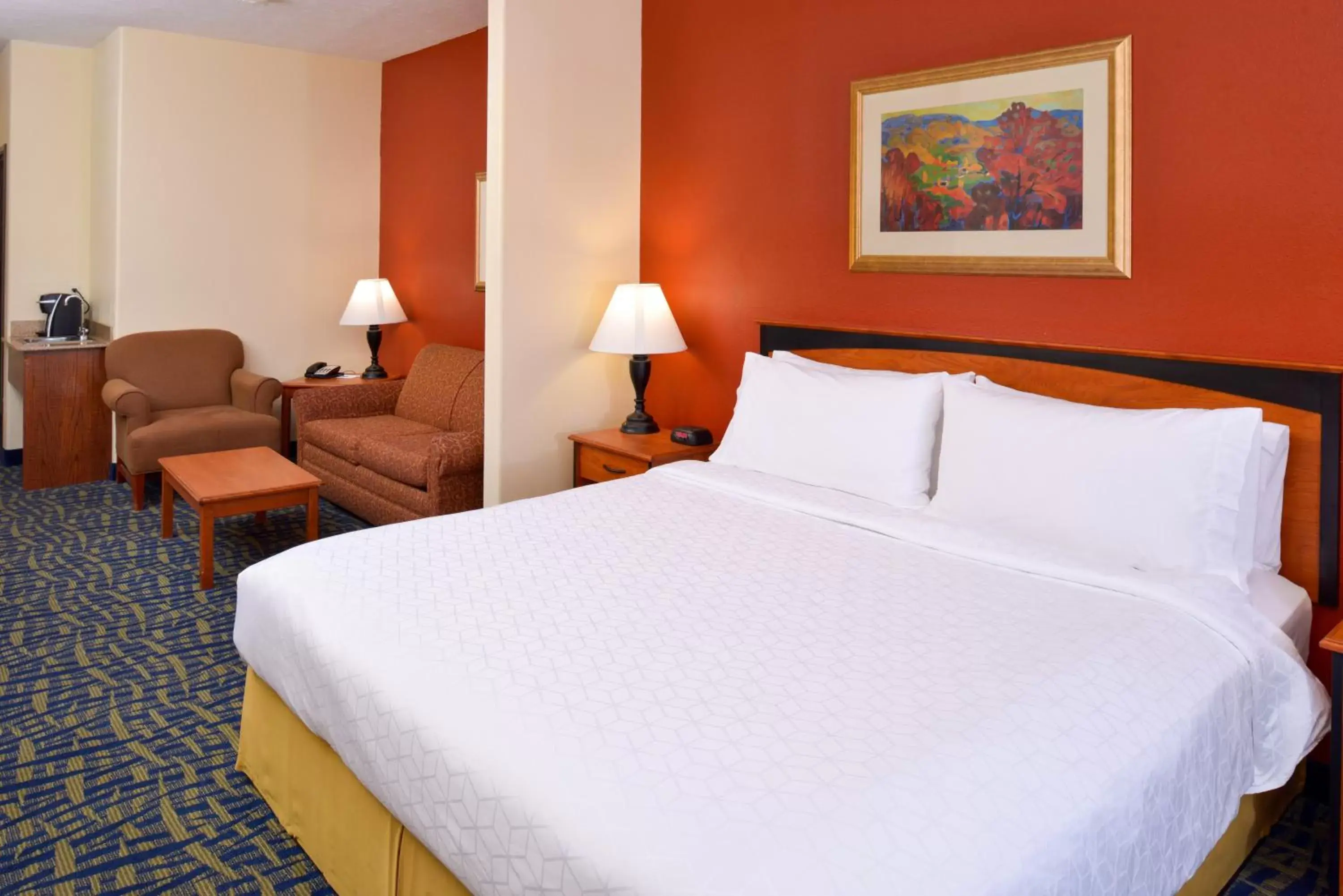 Photo of the whole room, Bed in Holiday Inn Express Hotel & Suites Alamosa, an IHG Hotel