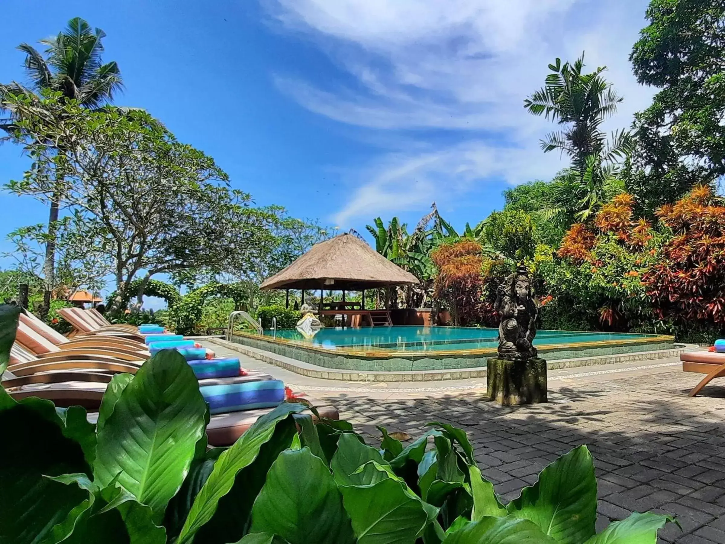 Garden, Swimming Pool in Gayatri