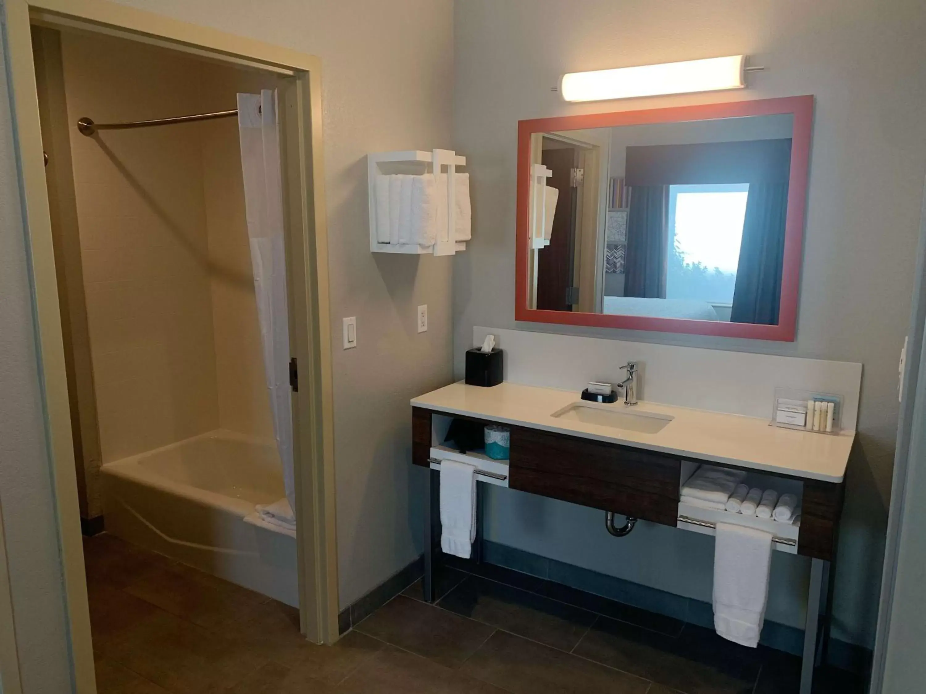 Bathroom in Hampton Inn & Suites Selma-San Antonio/Randolph AFB