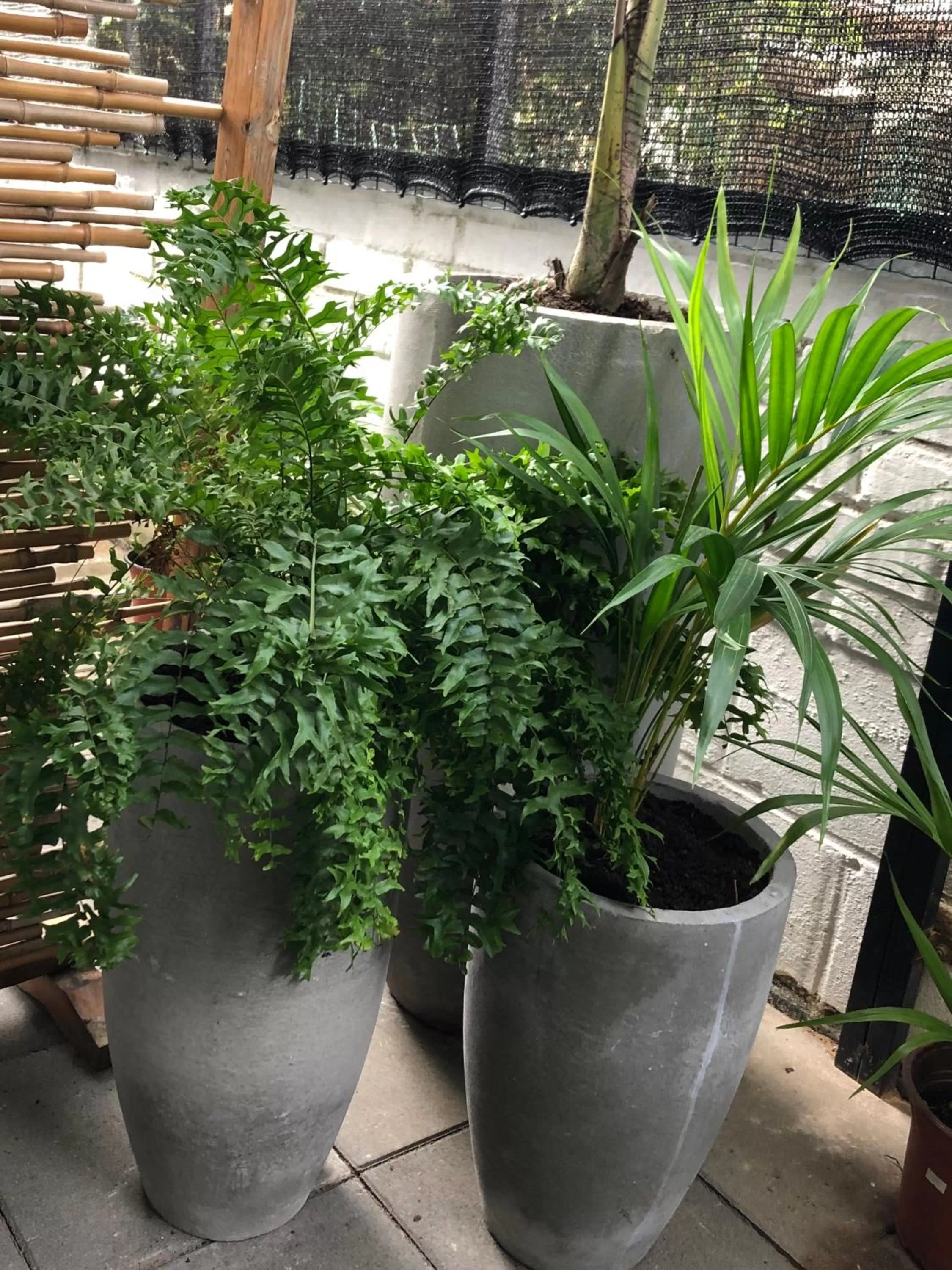 Garden in Villa Famiri Boutique hotel