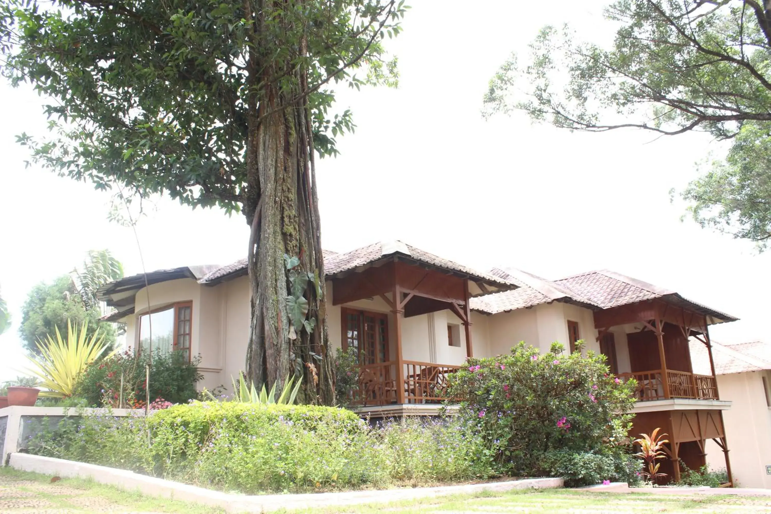 Property Building in Ktdc Tea County Resort