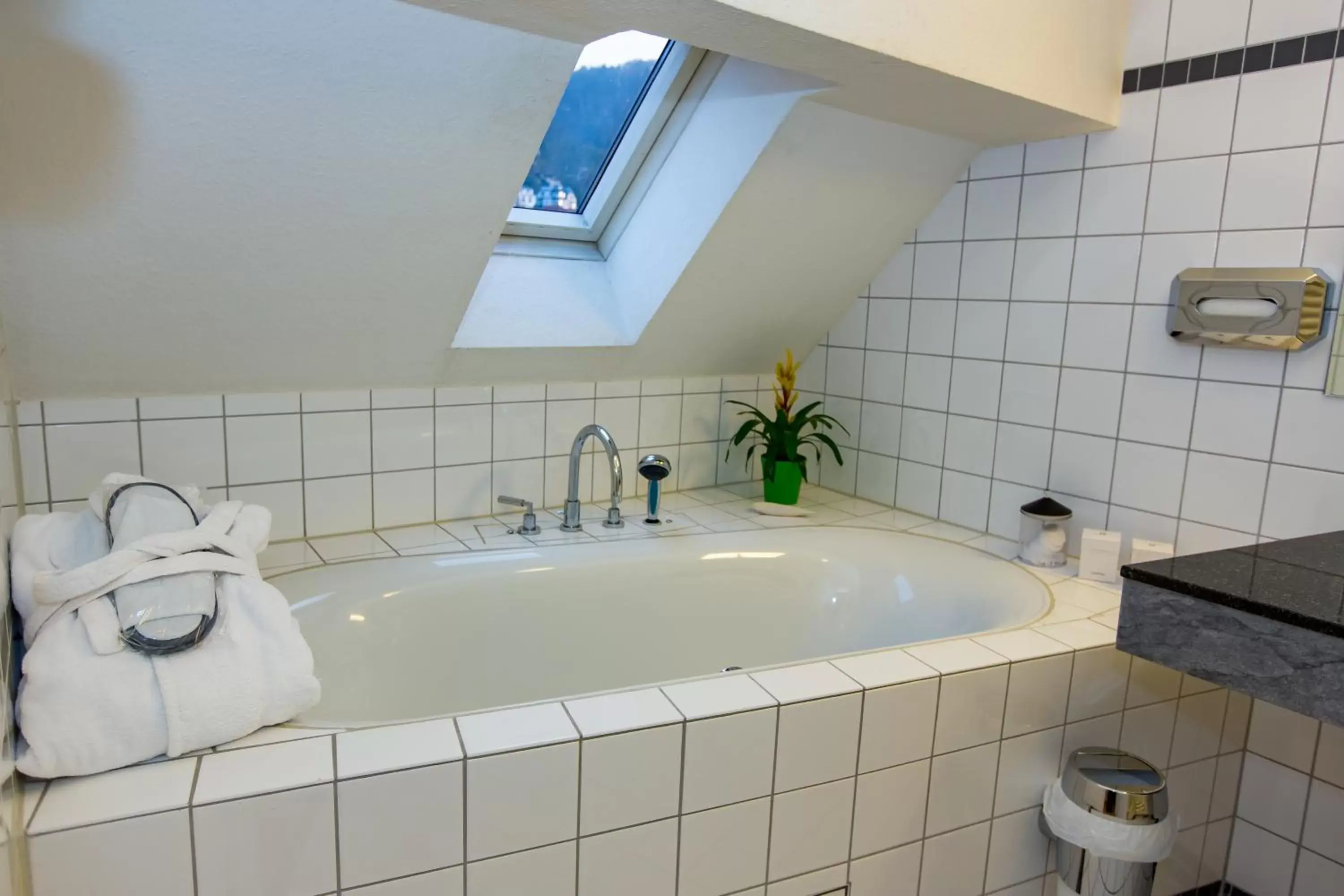 Bathroom in Hotel Goldener Falke