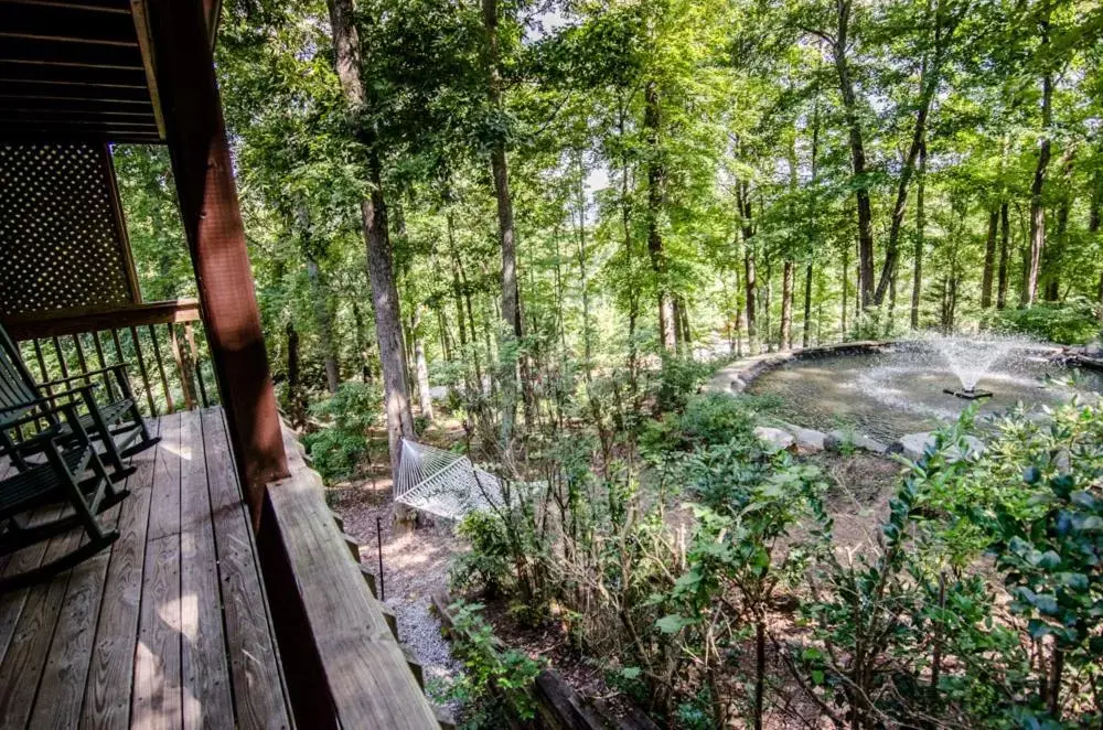 View (from property/room) in Asheville Cabins of Willow Winds