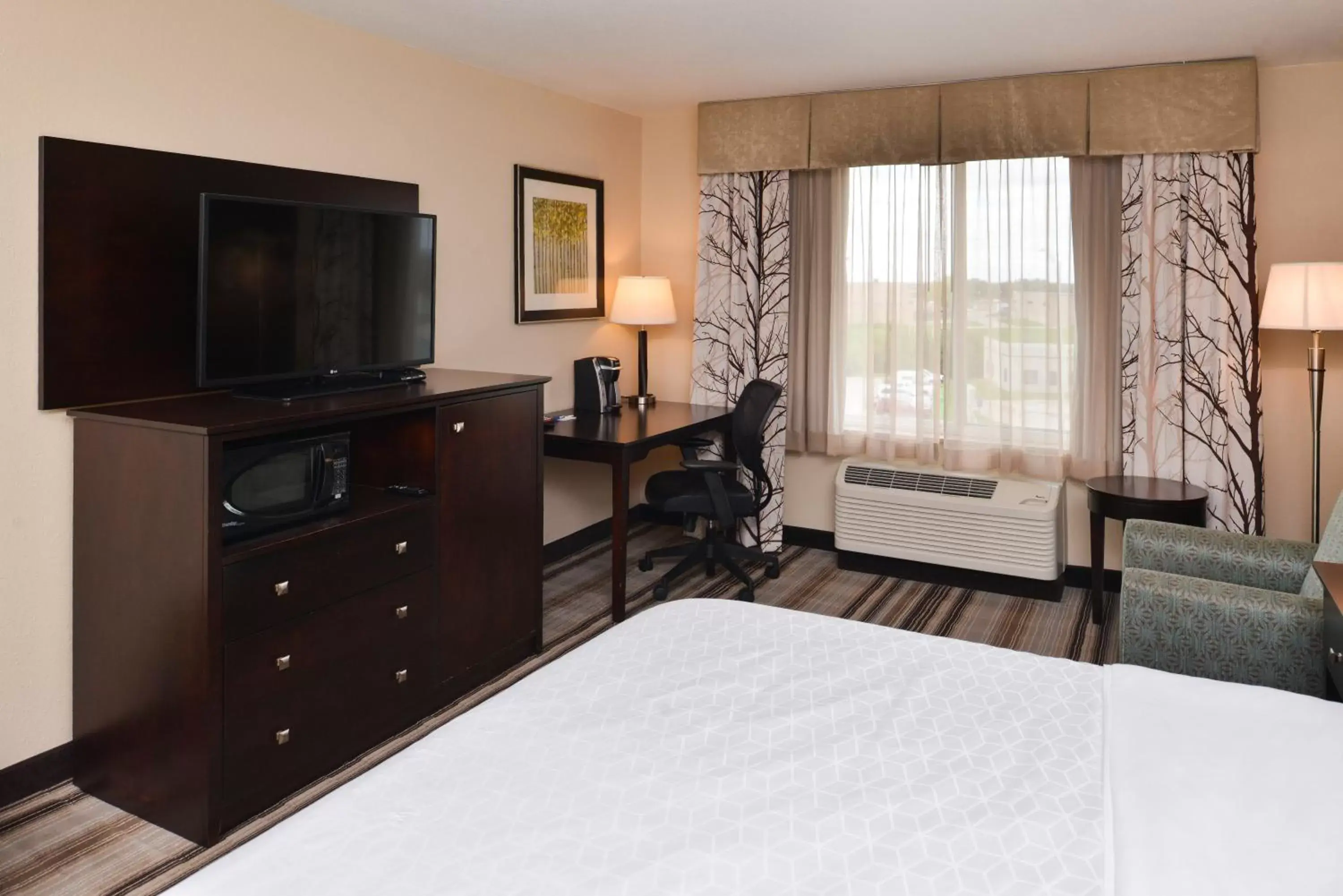Photo of the whole room, TV/Entertainment Center in Holiday Inn Express & Suites Emporia Northwest, an IHG Hotel