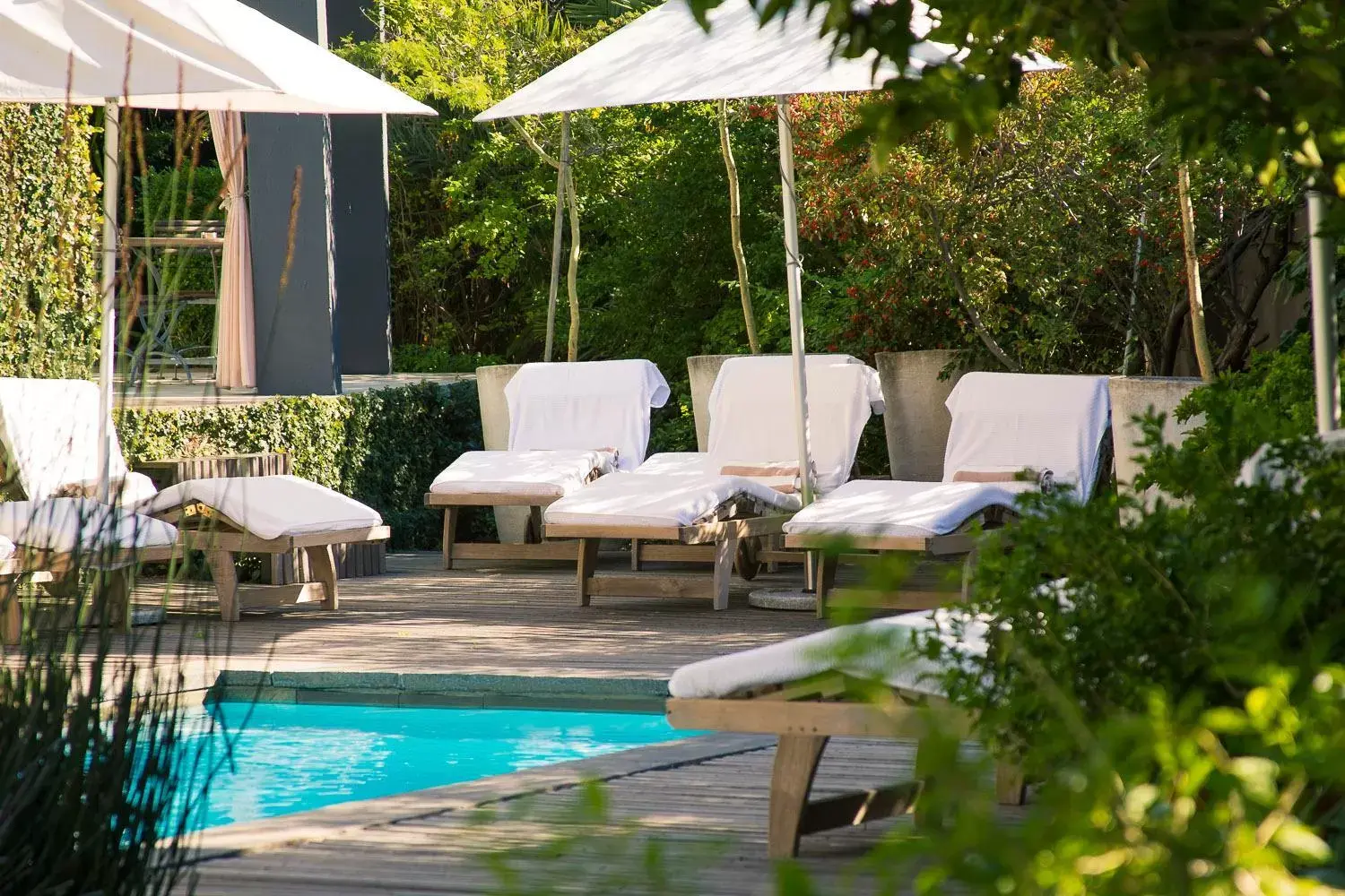 Garden, Swimming Pool in Kensington Place