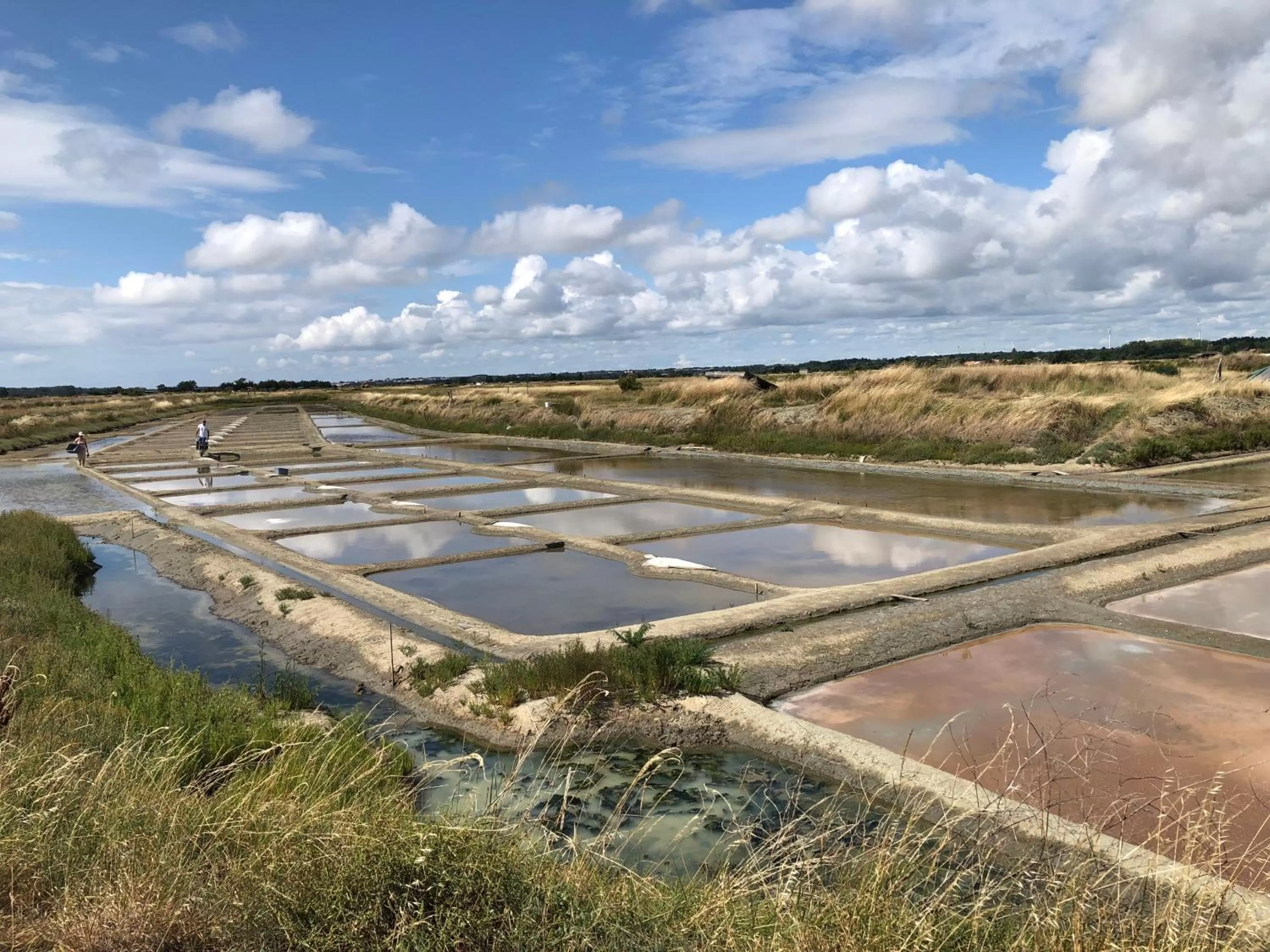 Natural landscape in L Atypique