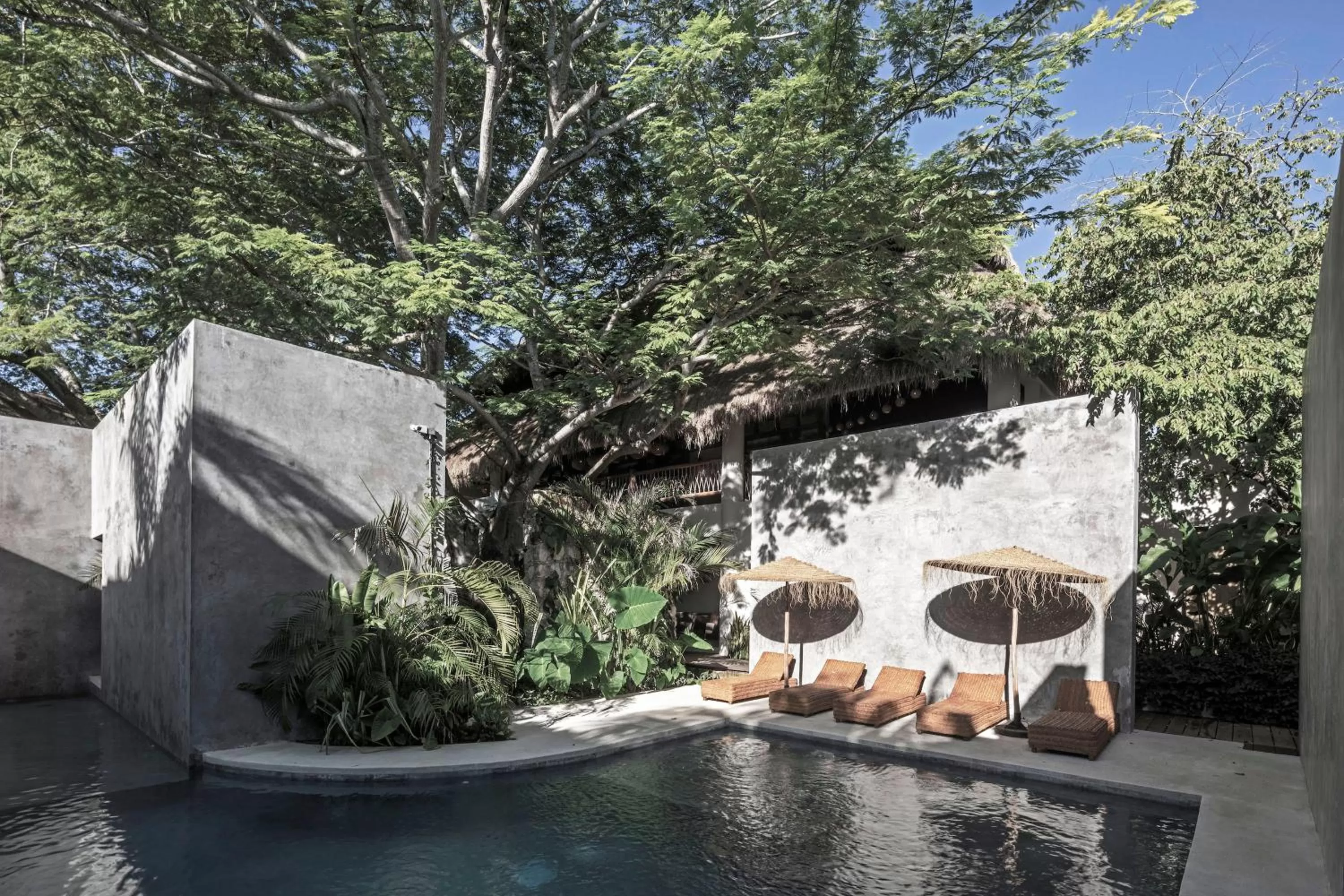 Swimming Pool in Hotel Casa Hormiga