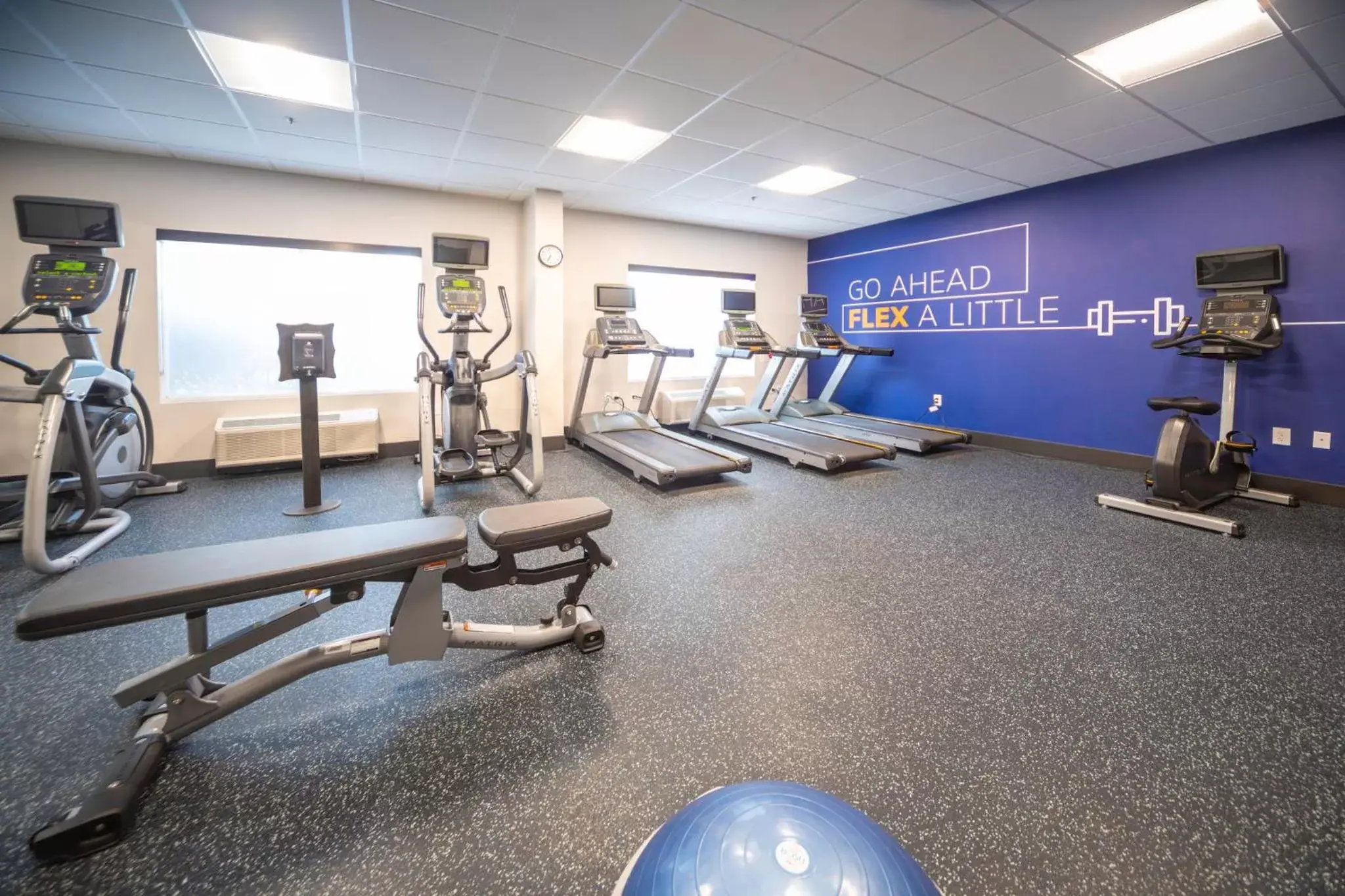 Fitness centre/facilities, Fitness Center/Facilities in Holiday Inn Express and Suites Atlanta-Johns Creek, an IHG Hotel