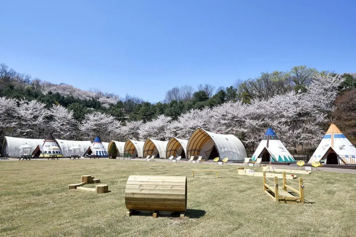 Beach in Vista Walkerhill Seoul