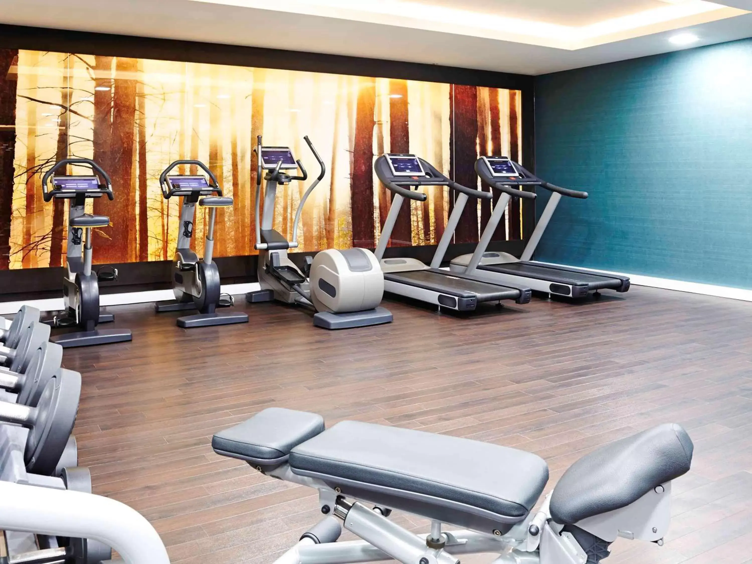 On site, Fitness Center/Facilities in Novotel London Blackfriars