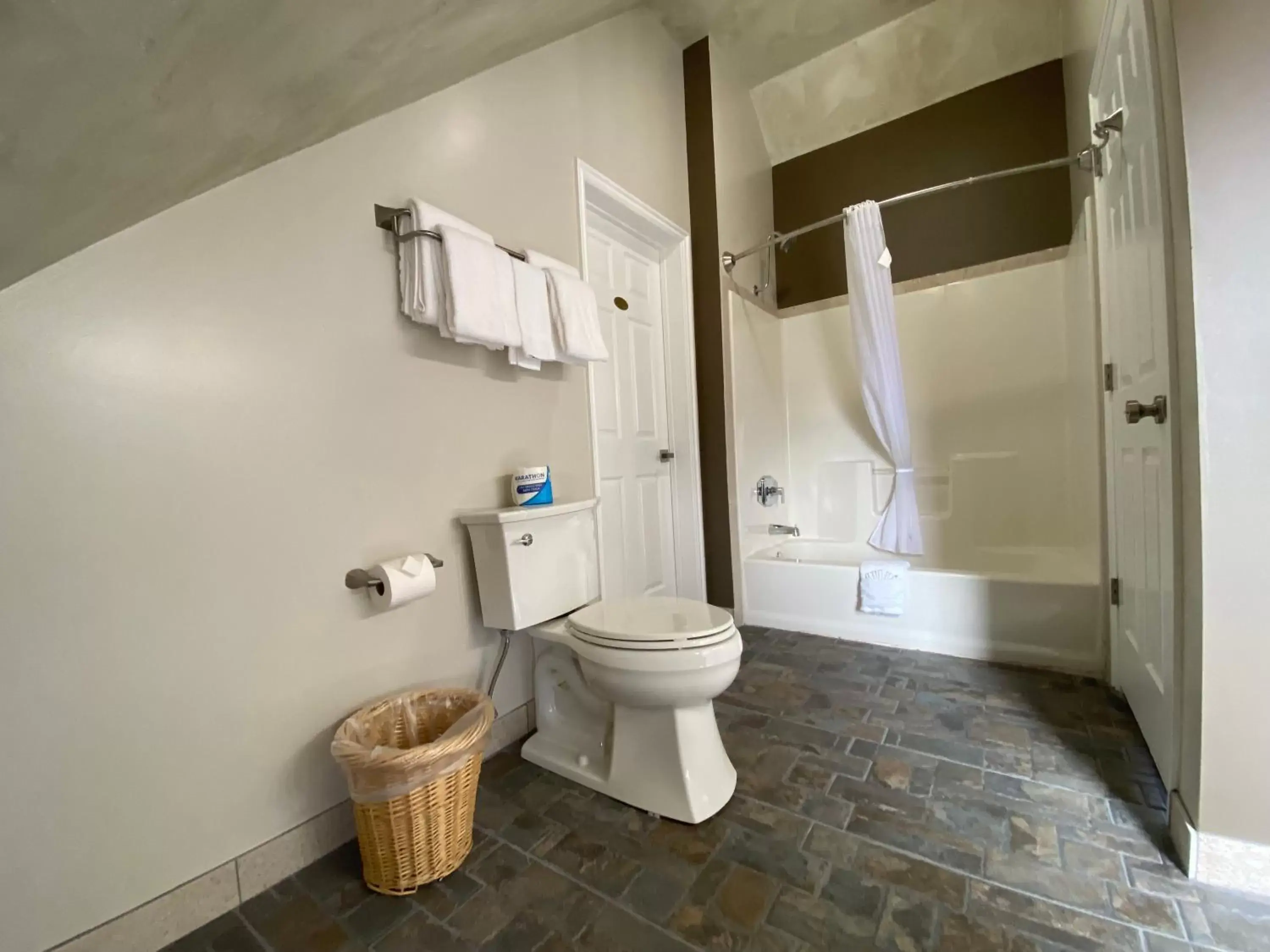 Shower, Bathroom in SkyRidge Inn