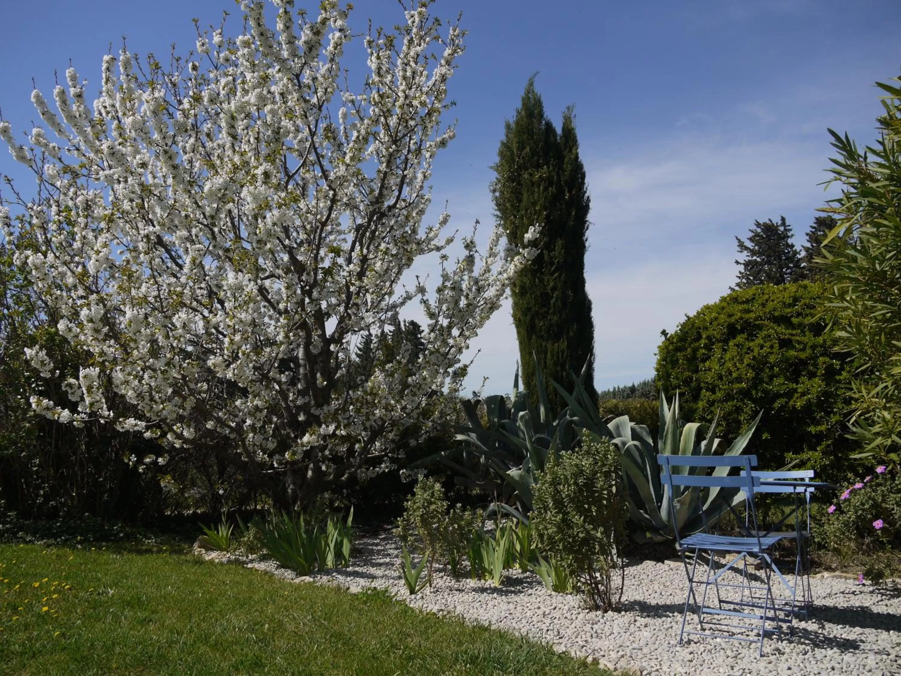 Day in Mas des Marguerites