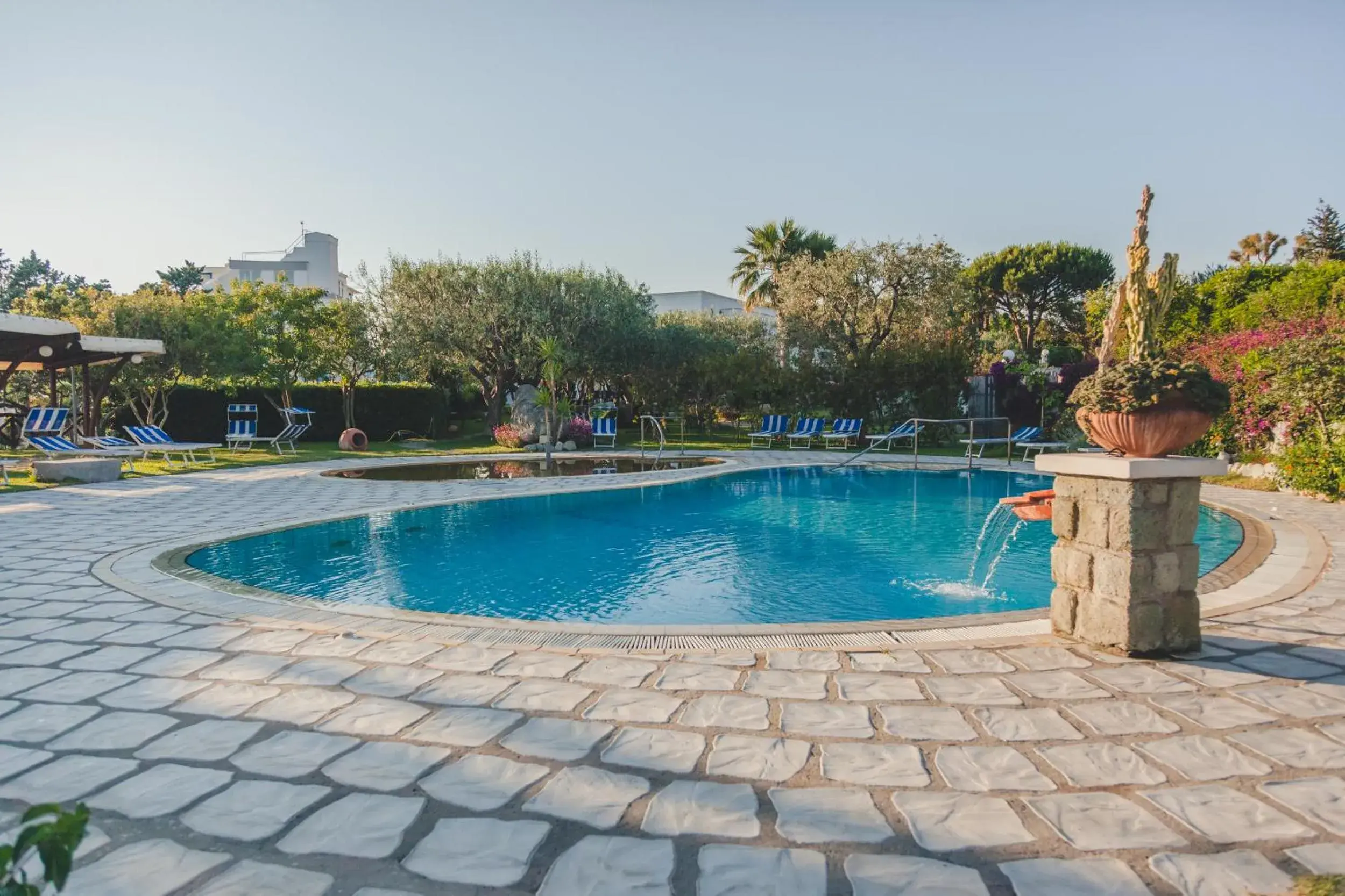 Garden, Swimming Pool in Hotel Ideal