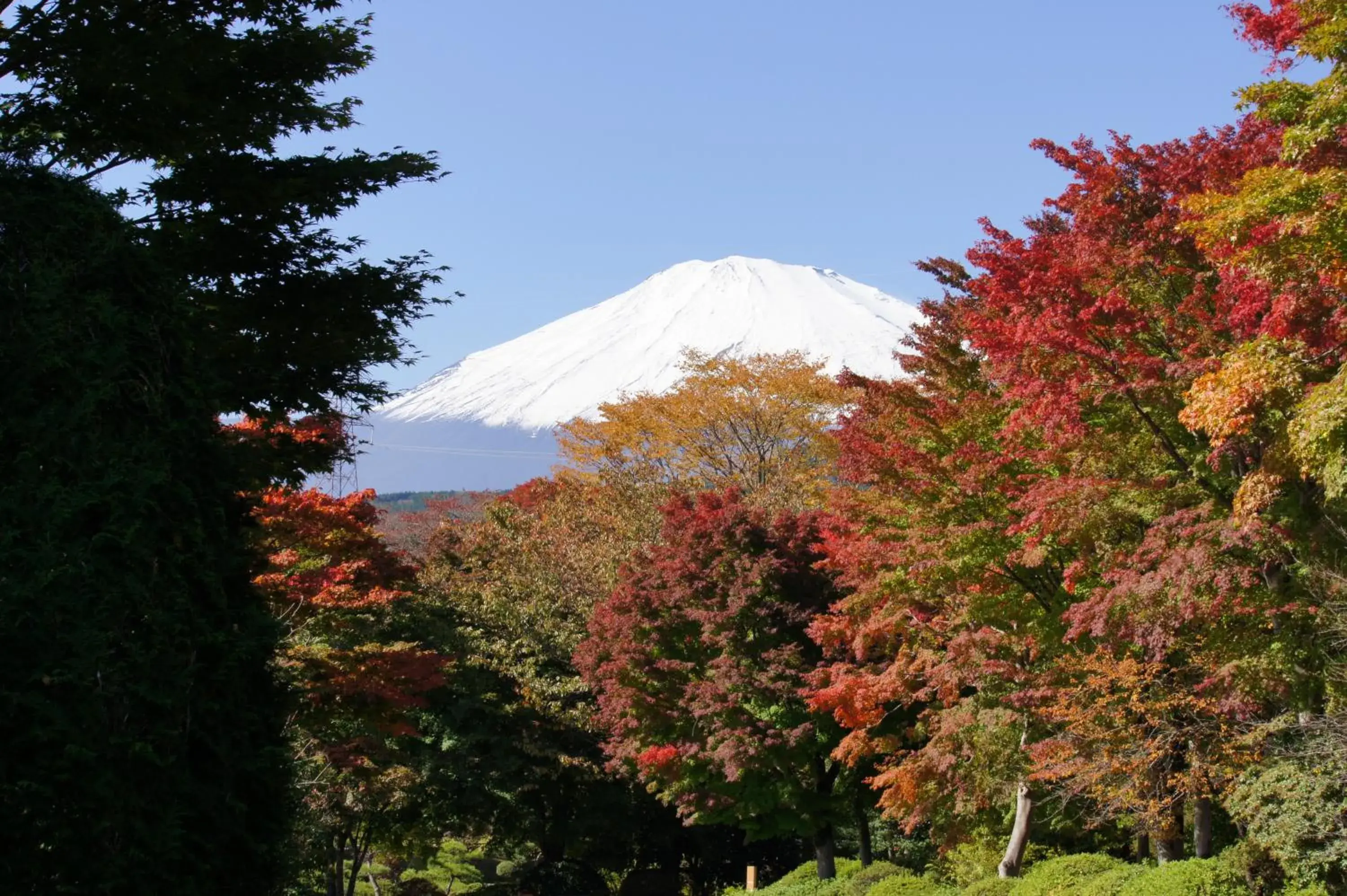 Nearby landmark, Mountain View in Fuji Speedway Hotel, Unbound Collection by Hyatt