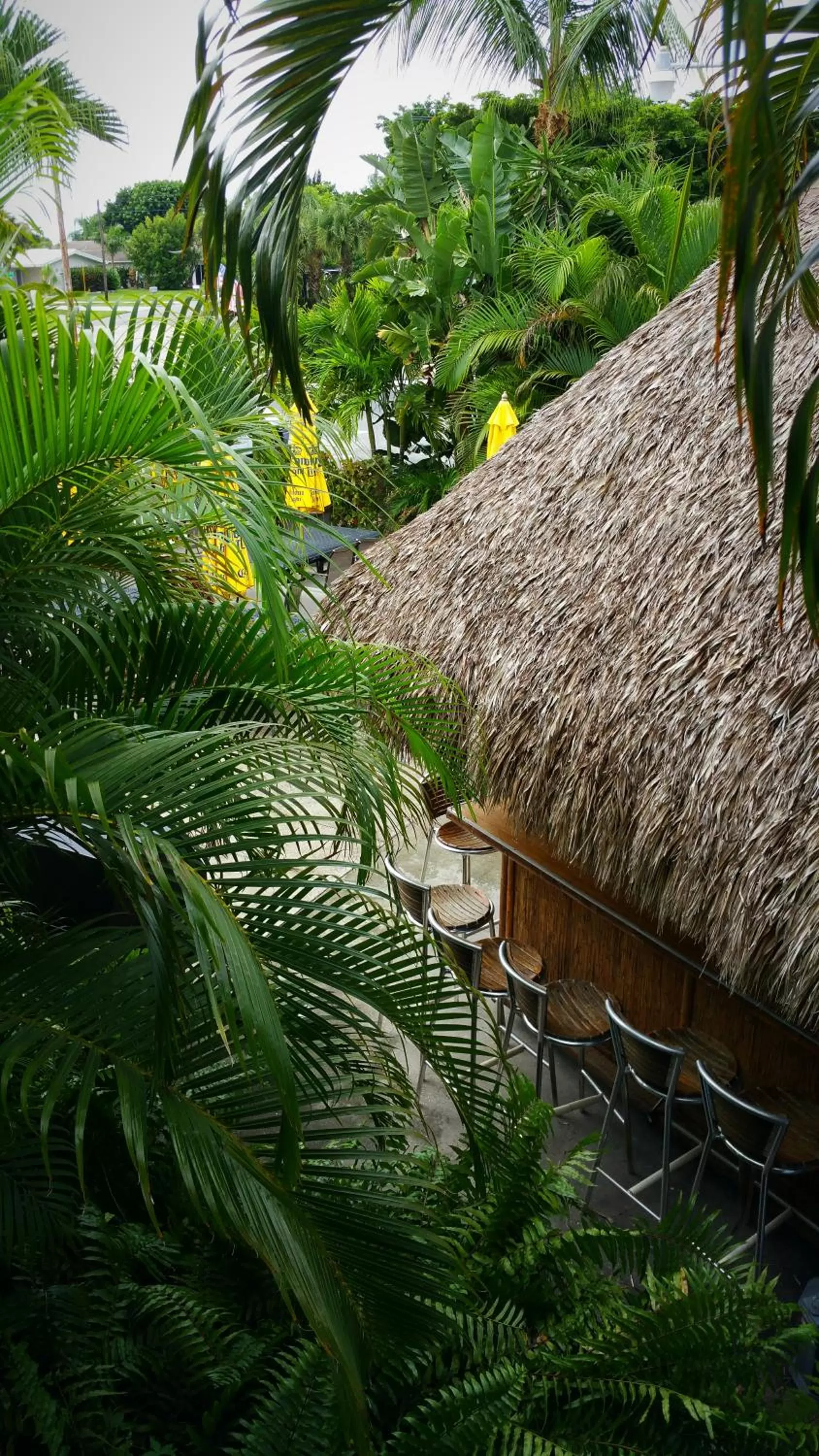 Day in Dolphin Key Resort - Cape Coral