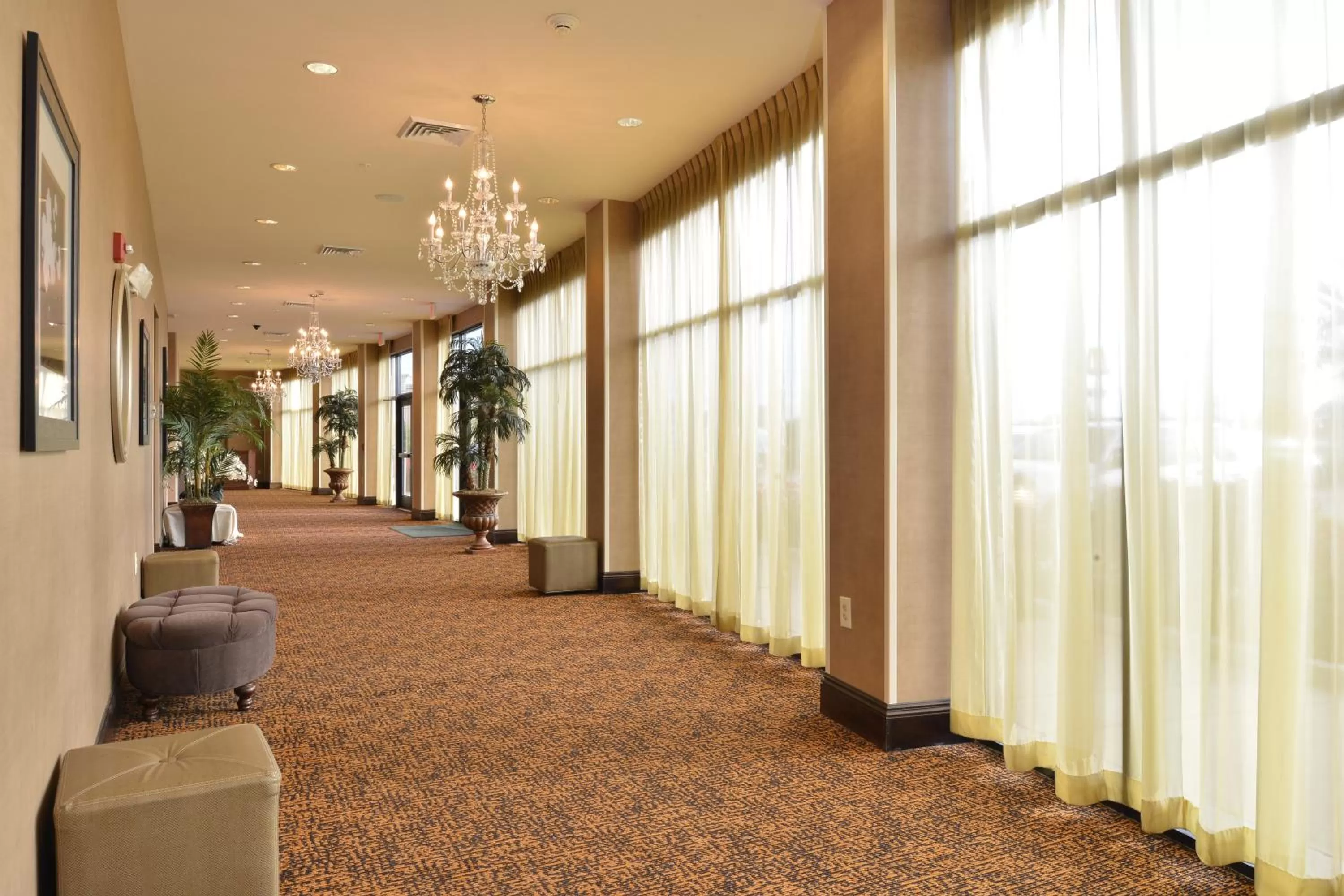 Meeting/conference room in Holiday Inn Montgomery South Airport by IHG