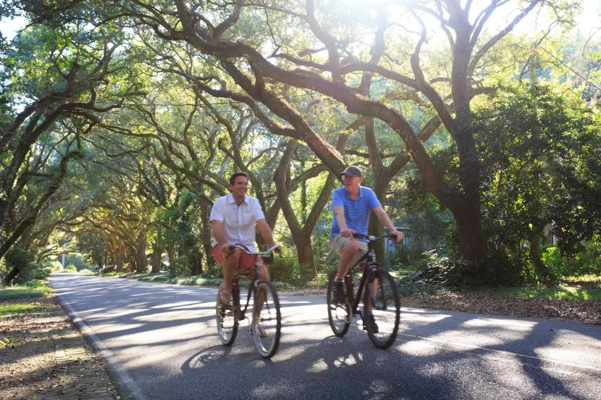 Cycling, Biking in Magnolia Springs Bed and Breakfast