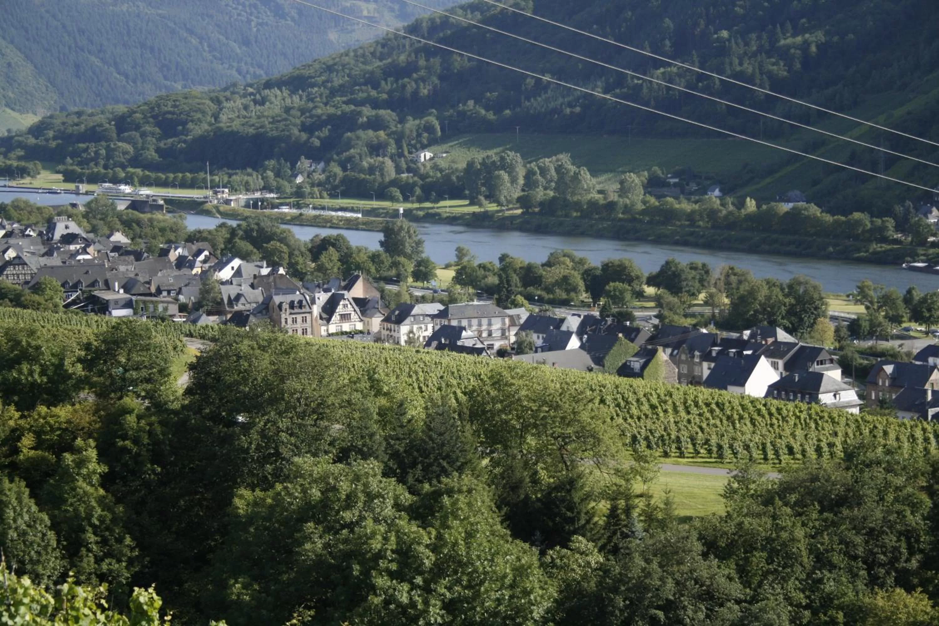 Natural landscape in Mosel Weinhotel Steffensberg