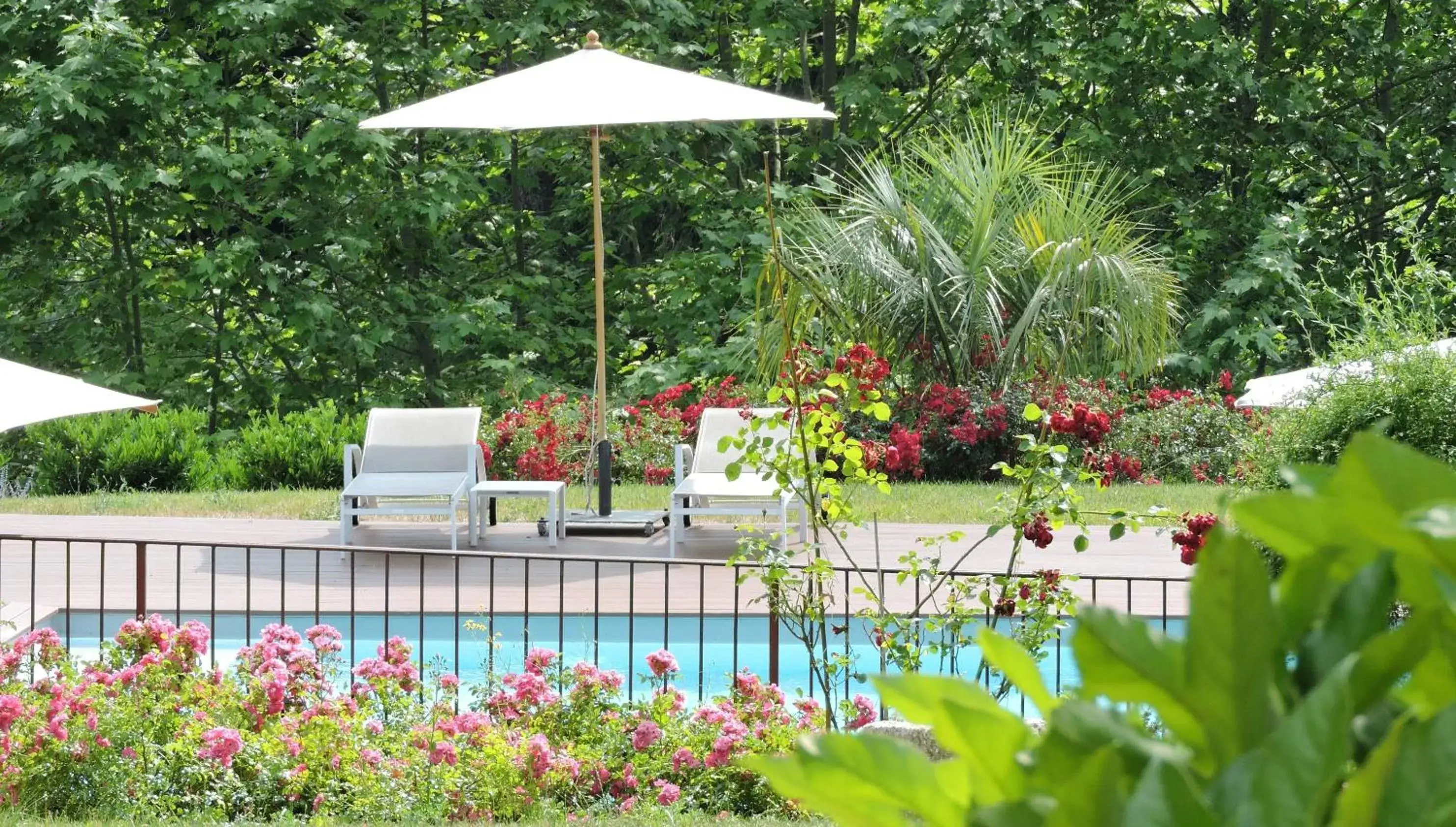 Pool view, Swimming Pool in Domaine Le Castelet