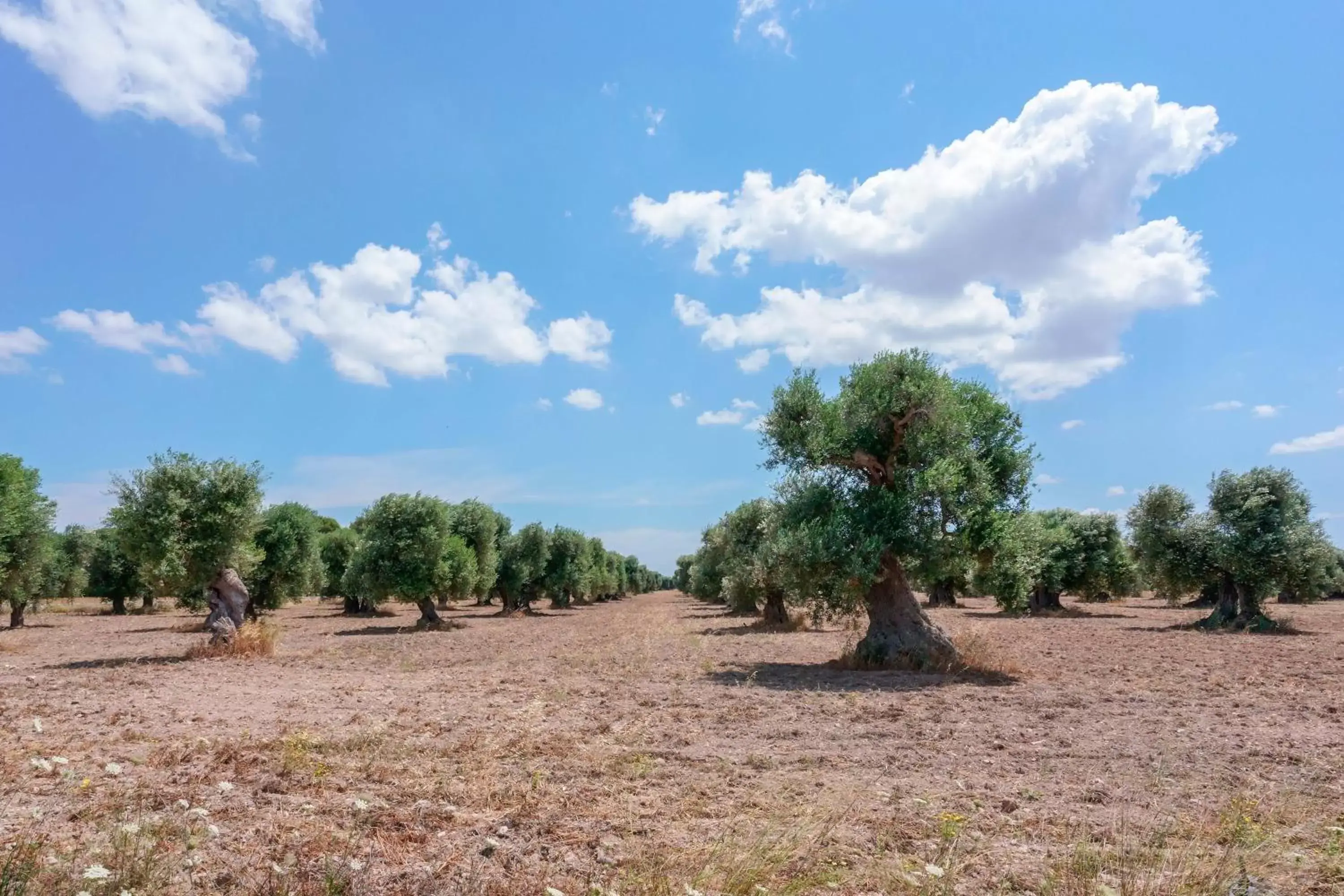 Natural landscape, Beach in Bed and Breakfast Cairoli Exclusive Room