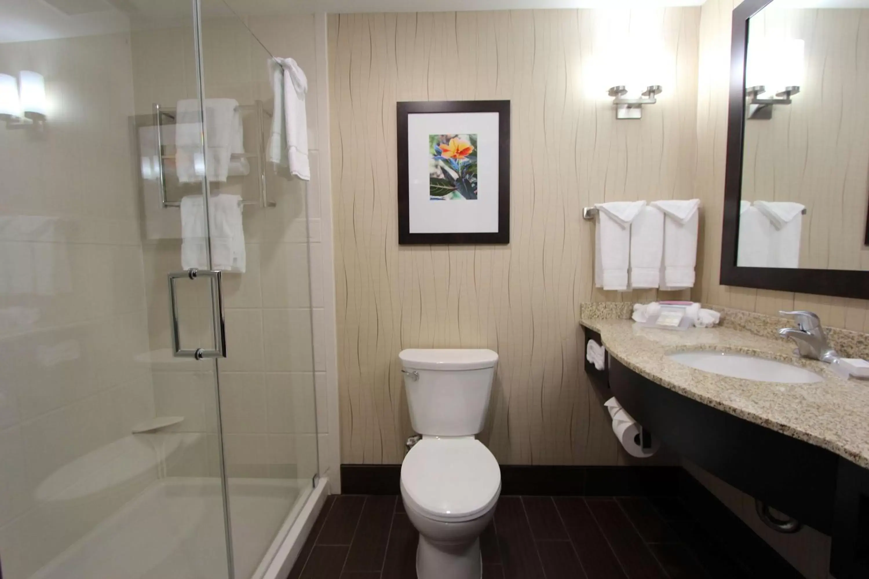 Bathroom in Hilton Garden Inn Findlay
