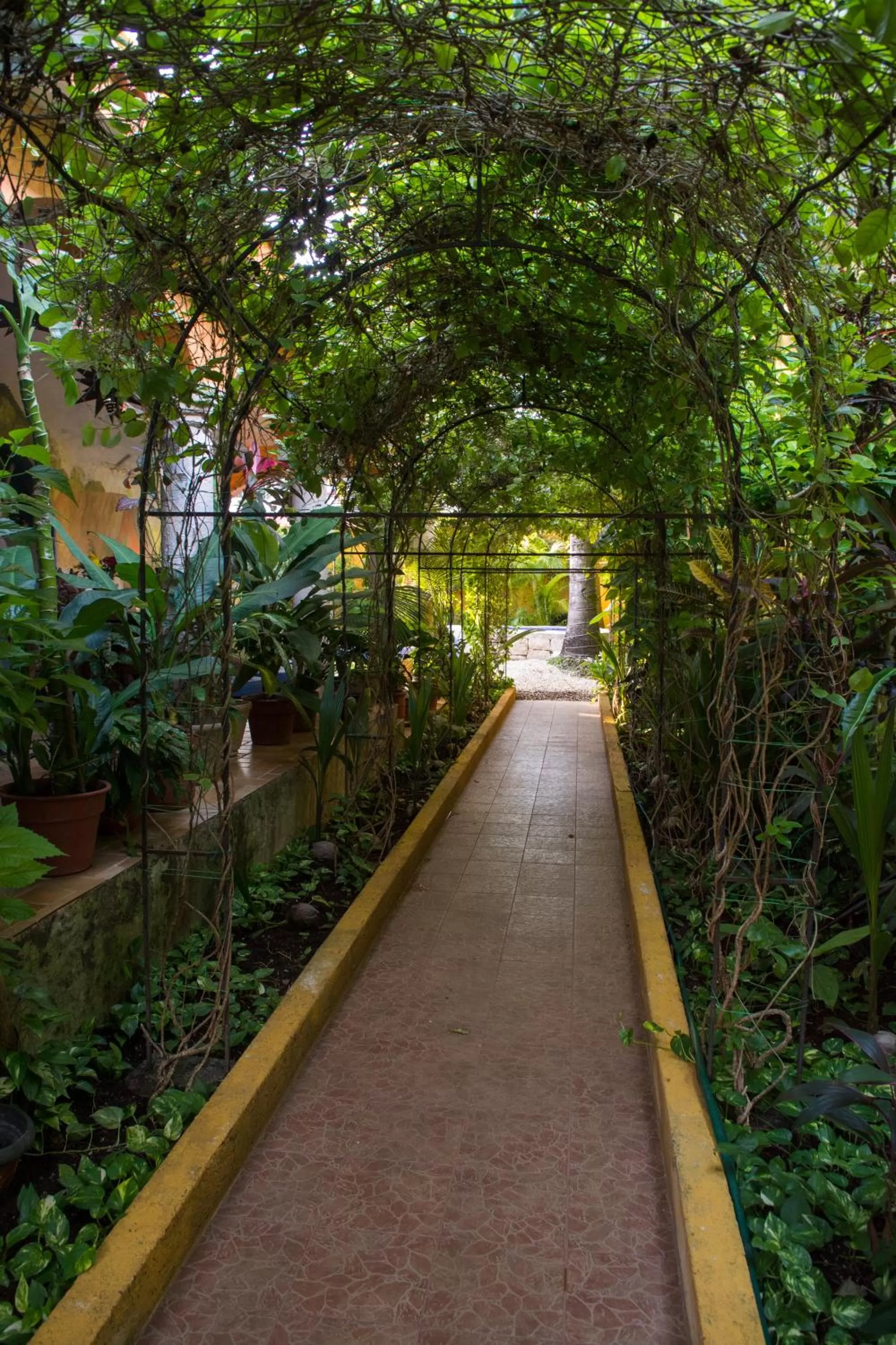 Garden in Hacienda Boutique B&B and Spa Solo Adultos