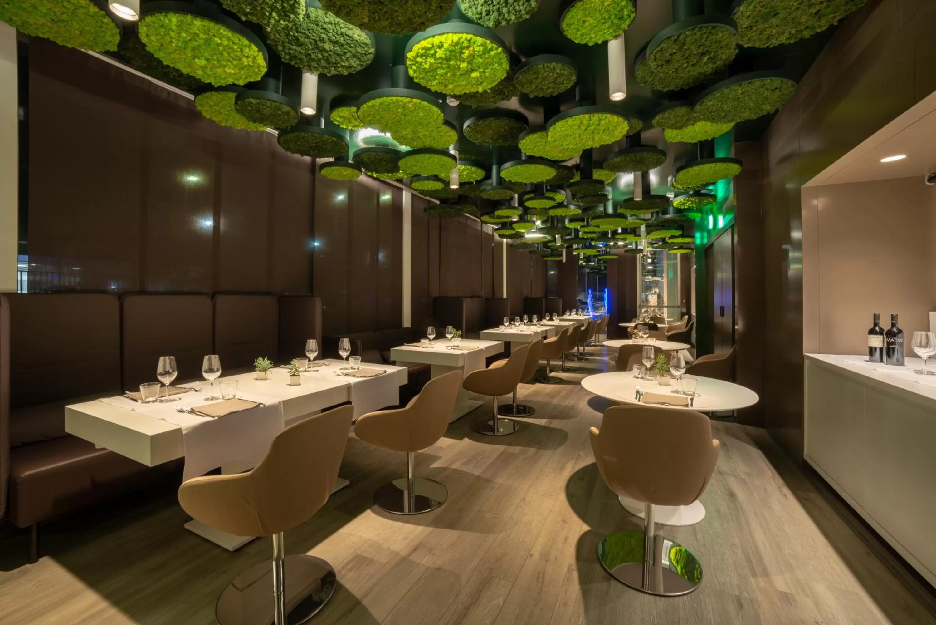 Restaurant/places to eat in 8Piuhotel