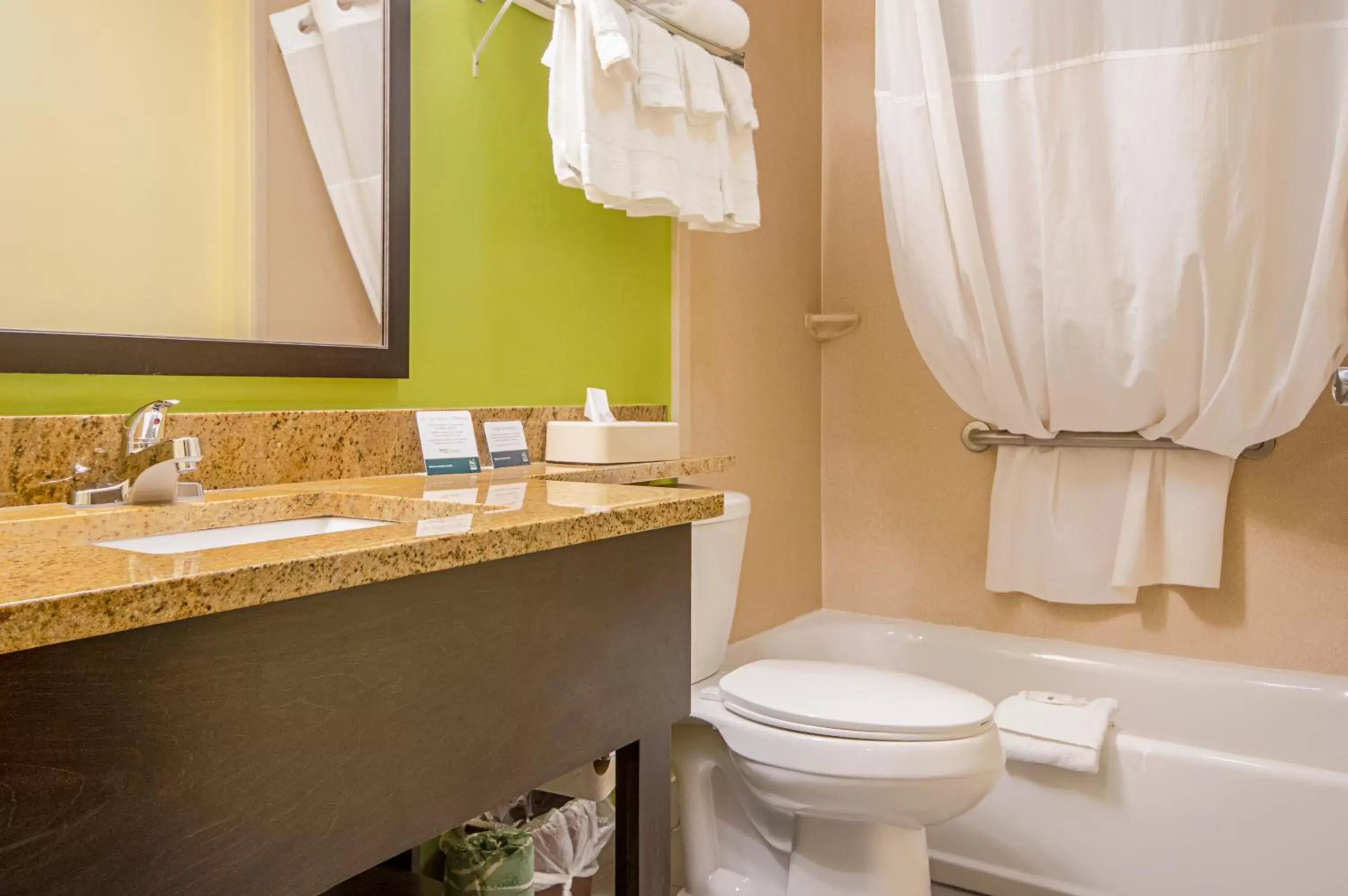 Bathroom in Quality Inn & Suites Glenmont - Albany South