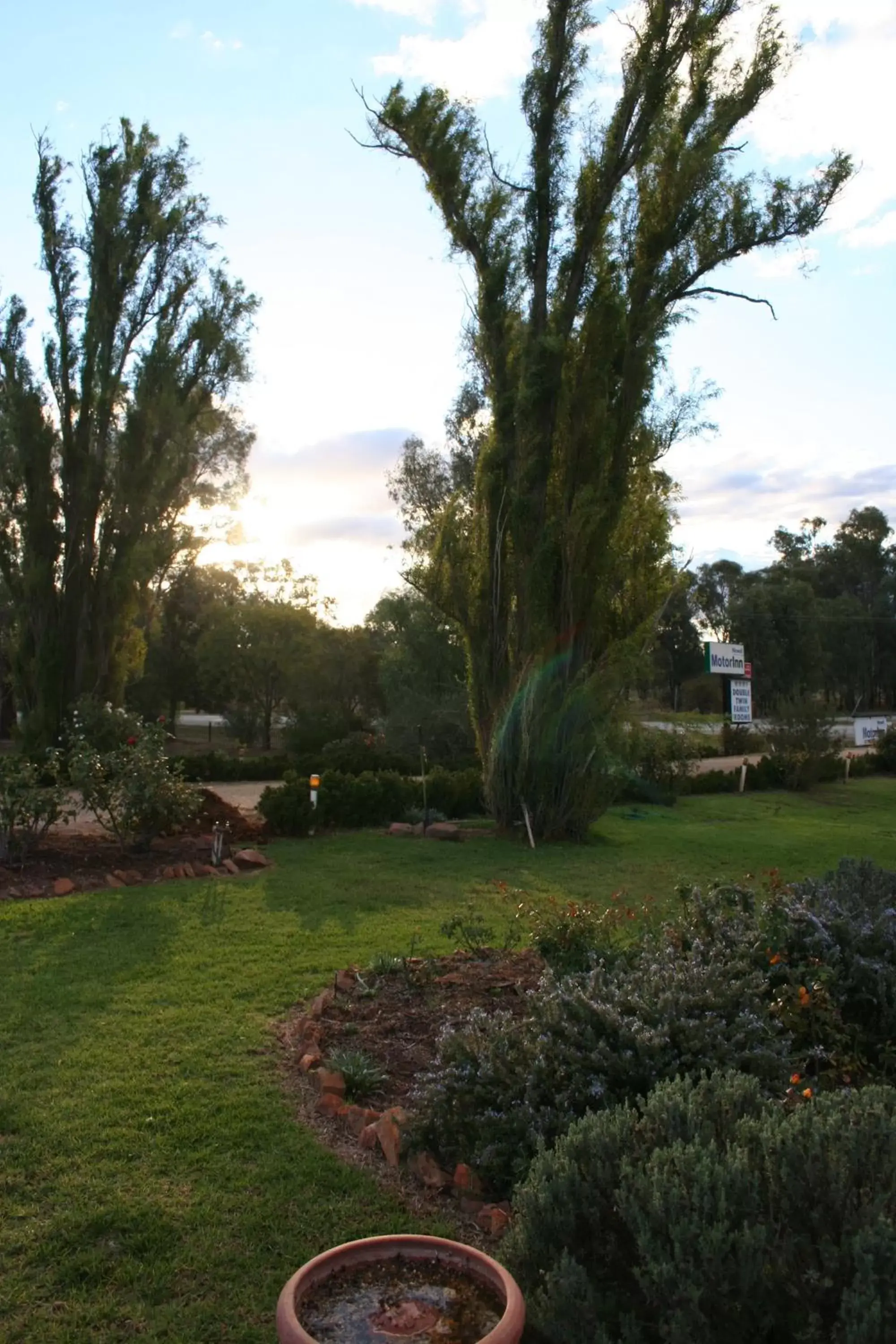 Garden in Newell Motor Inn Narrandera