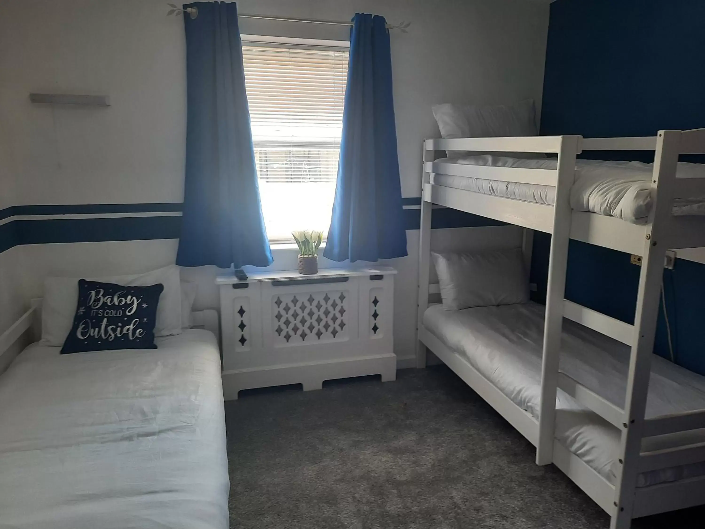 Bunk Bed in Cedarville Guesthouse