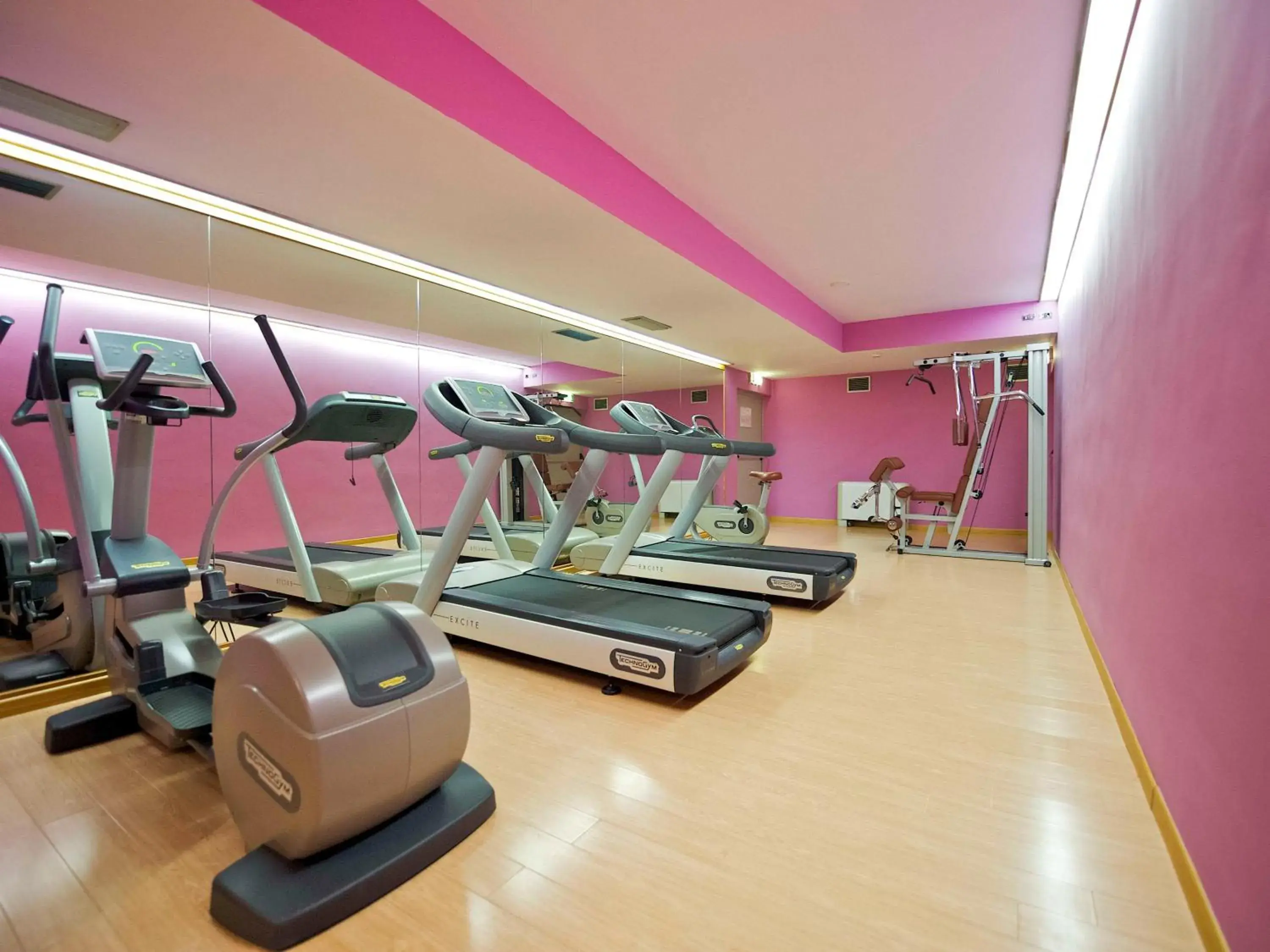 Fitness centre/facilities, Fitness Center/Facilities in Mercure Roma West
