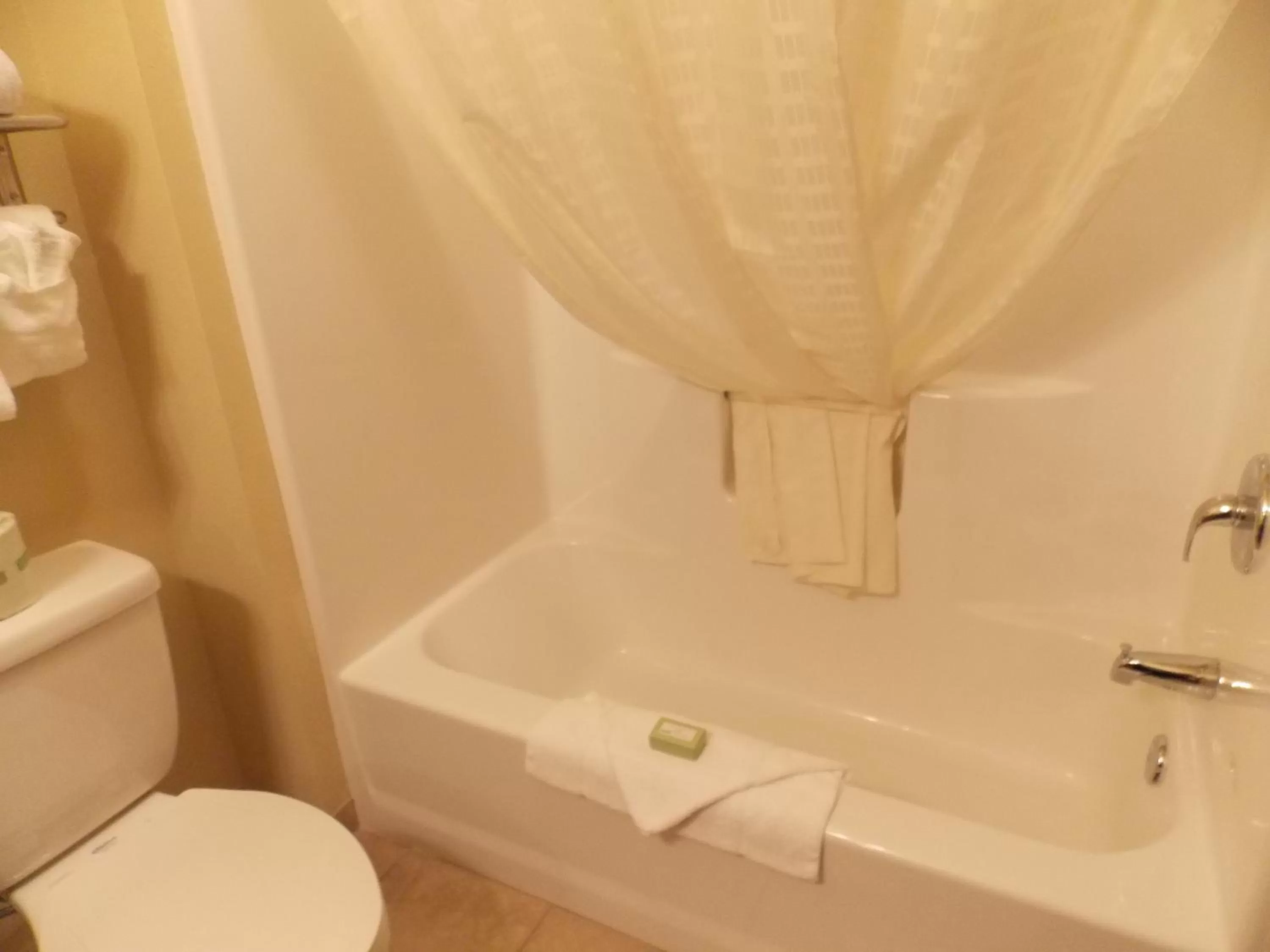 Shower, Bathroom in Cobblestone Hotel and Suites - Crookston