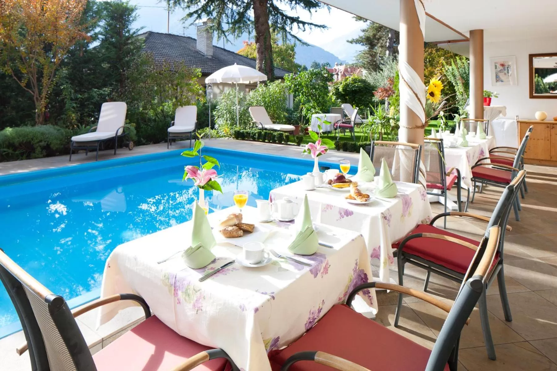 Spring in Hotel Aster