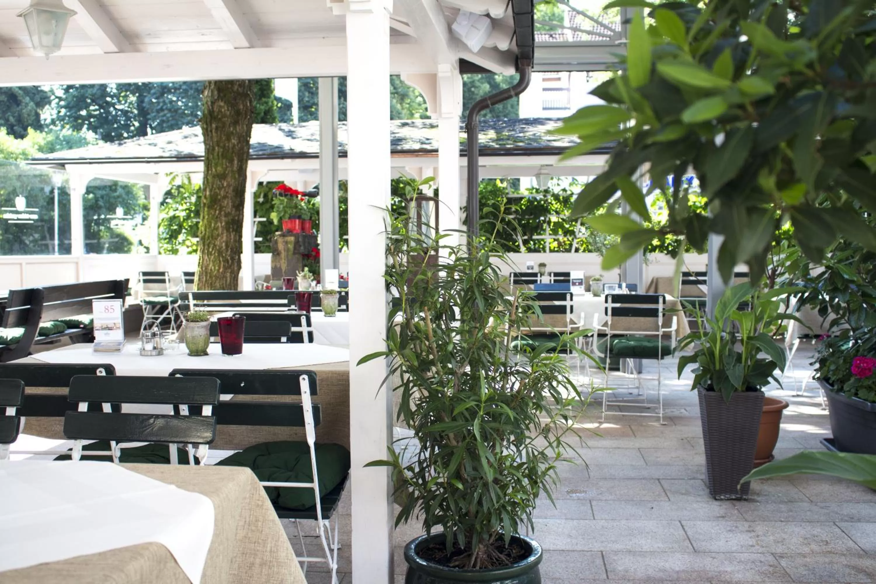 Garden view in Hotel Krone