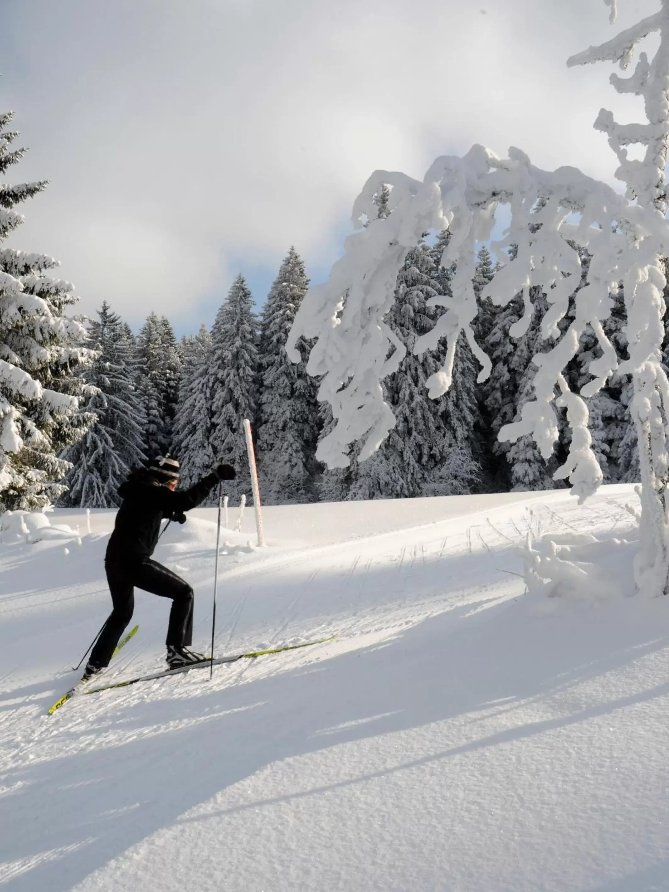 Winter, Skiing in HOTEL de la Truite & SPA Le petit Nautilus