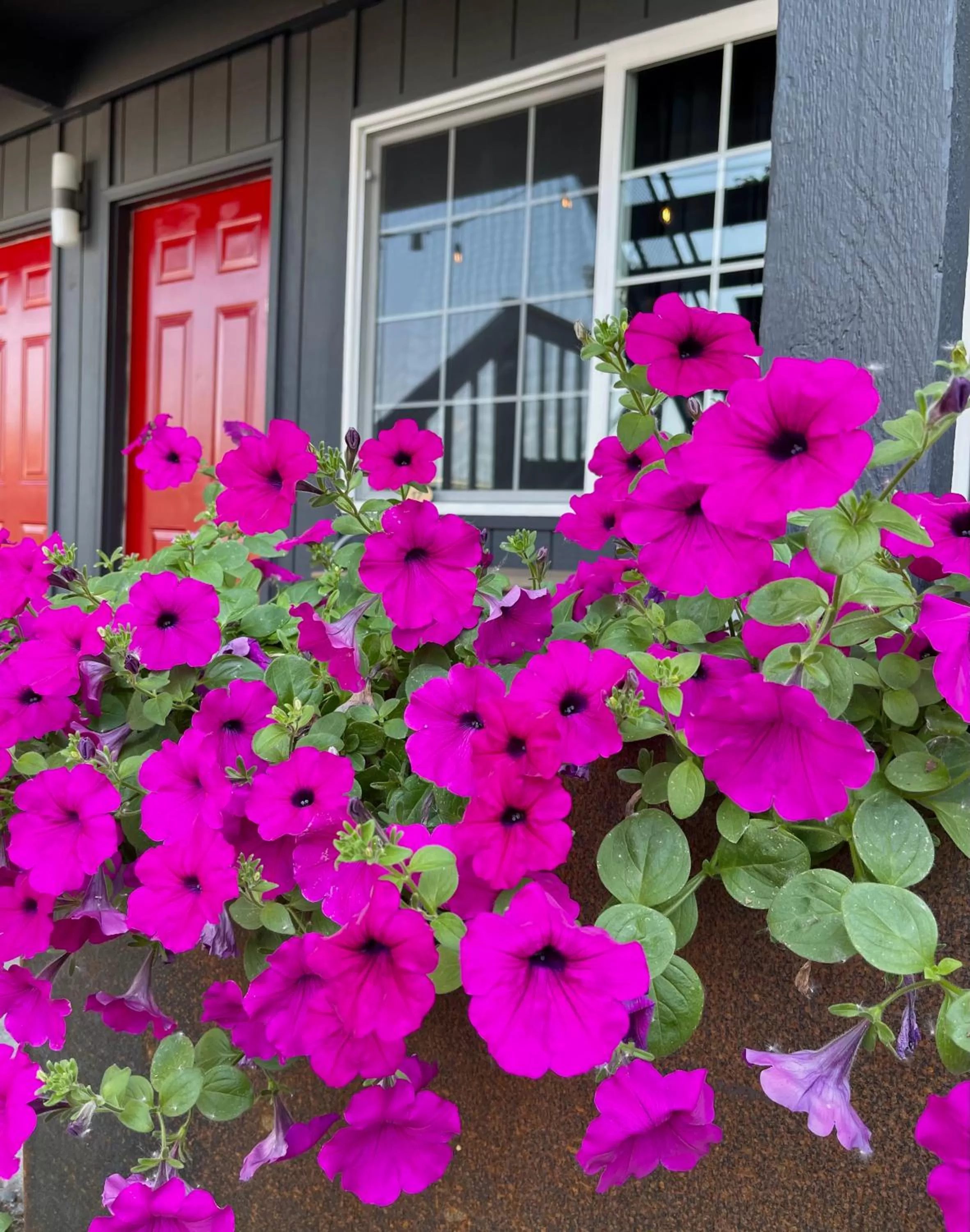 Garden in Chalet Inn