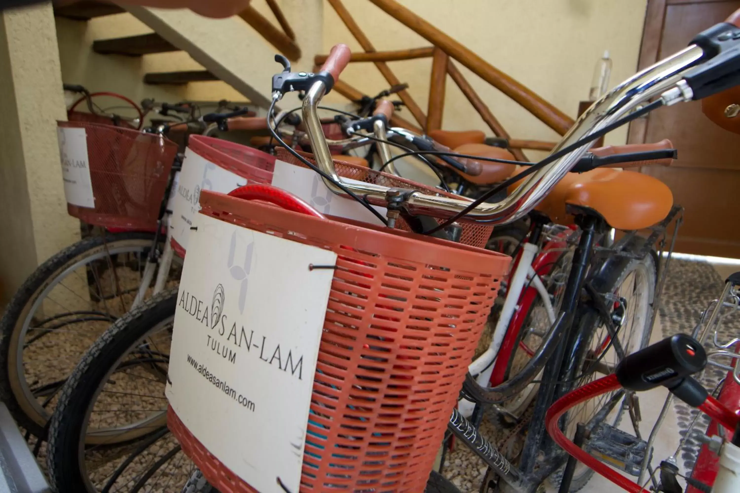 Cycling in Aldea San Lam - Oasis Of Tulum