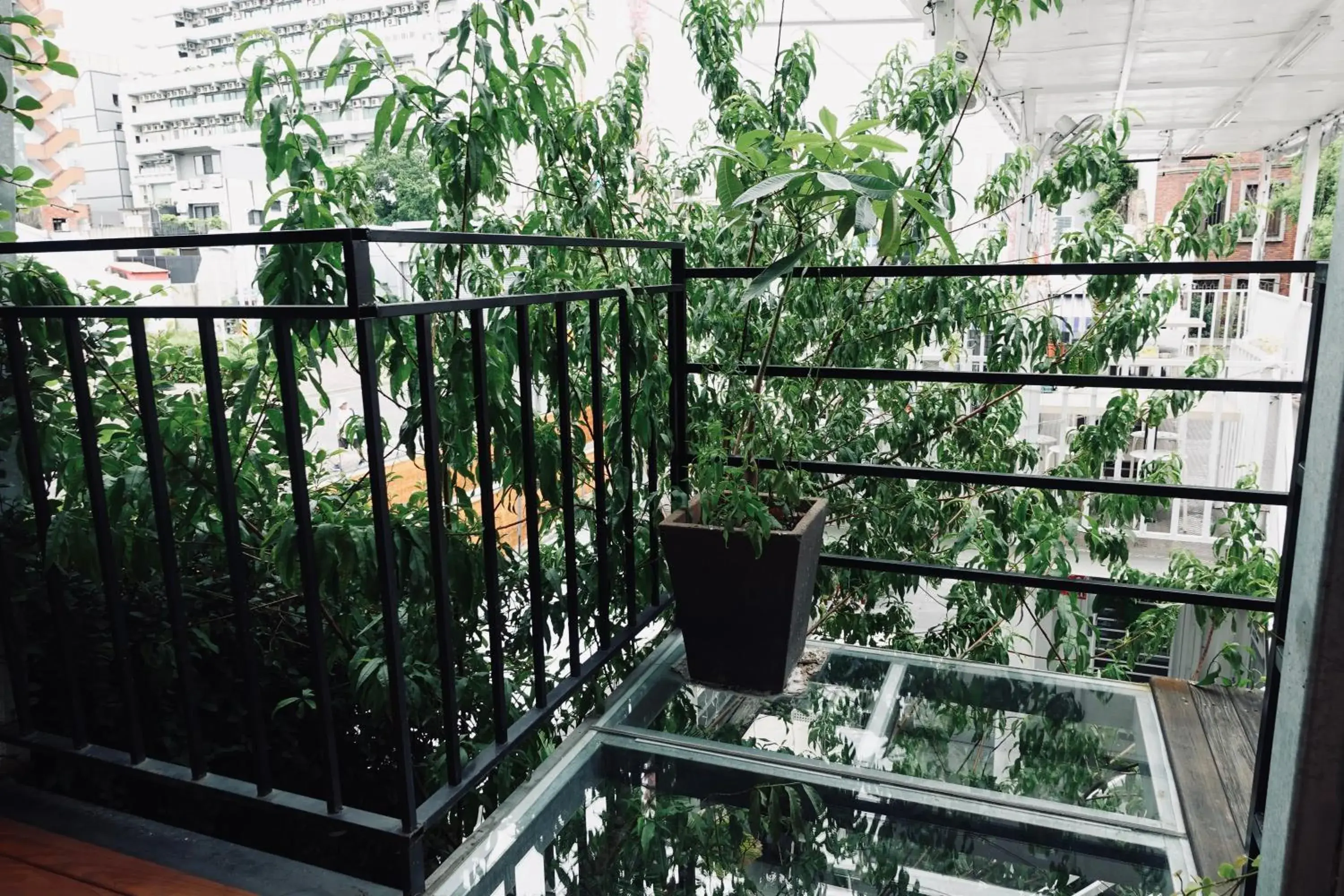 Balcony/Terrace in Fuqi Hostel - Heping