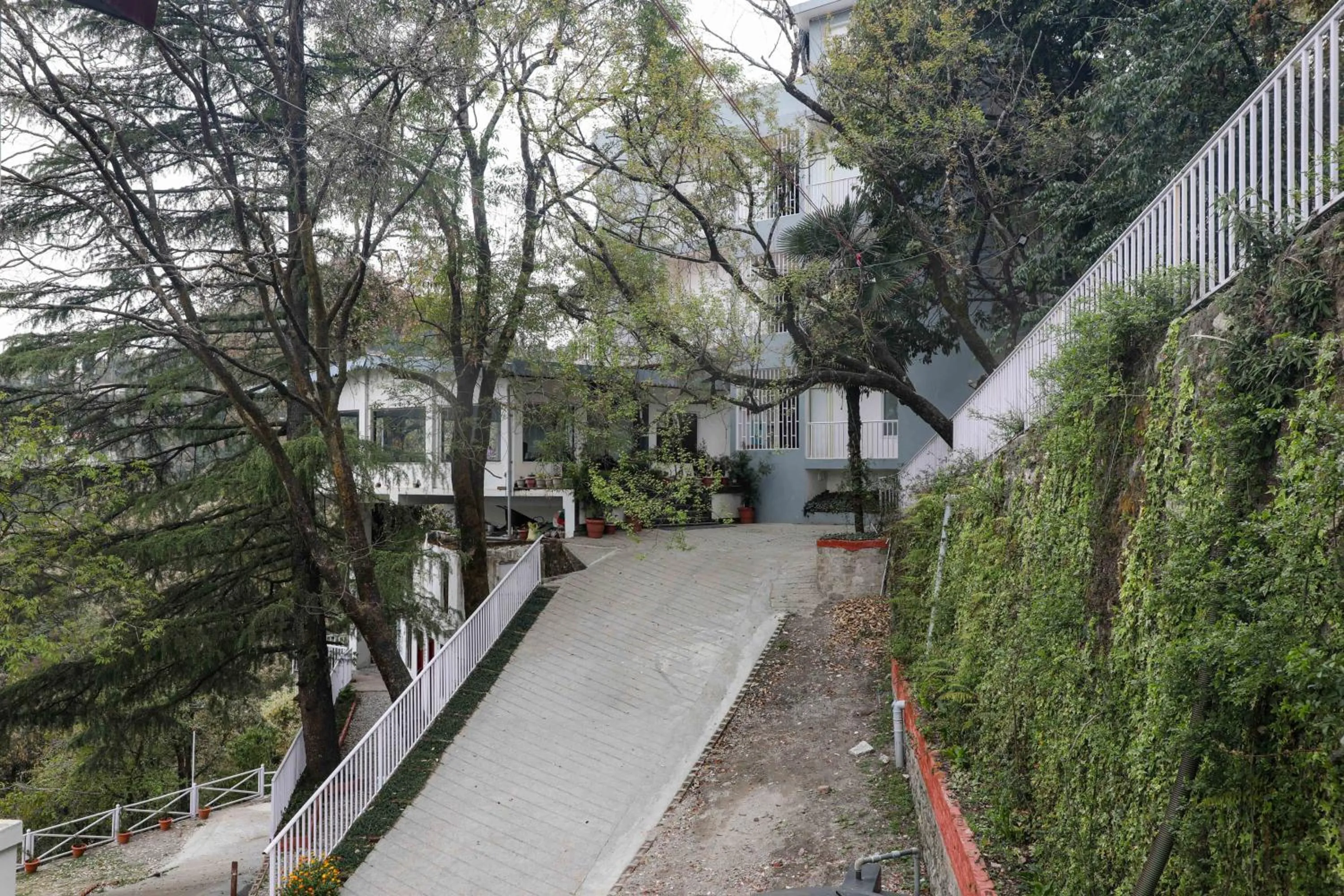 Property building in The Mountain Quail