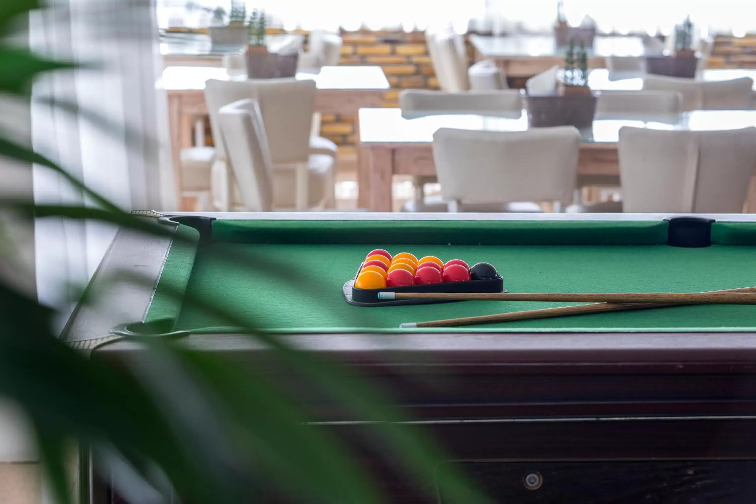 Billiards in Cactus