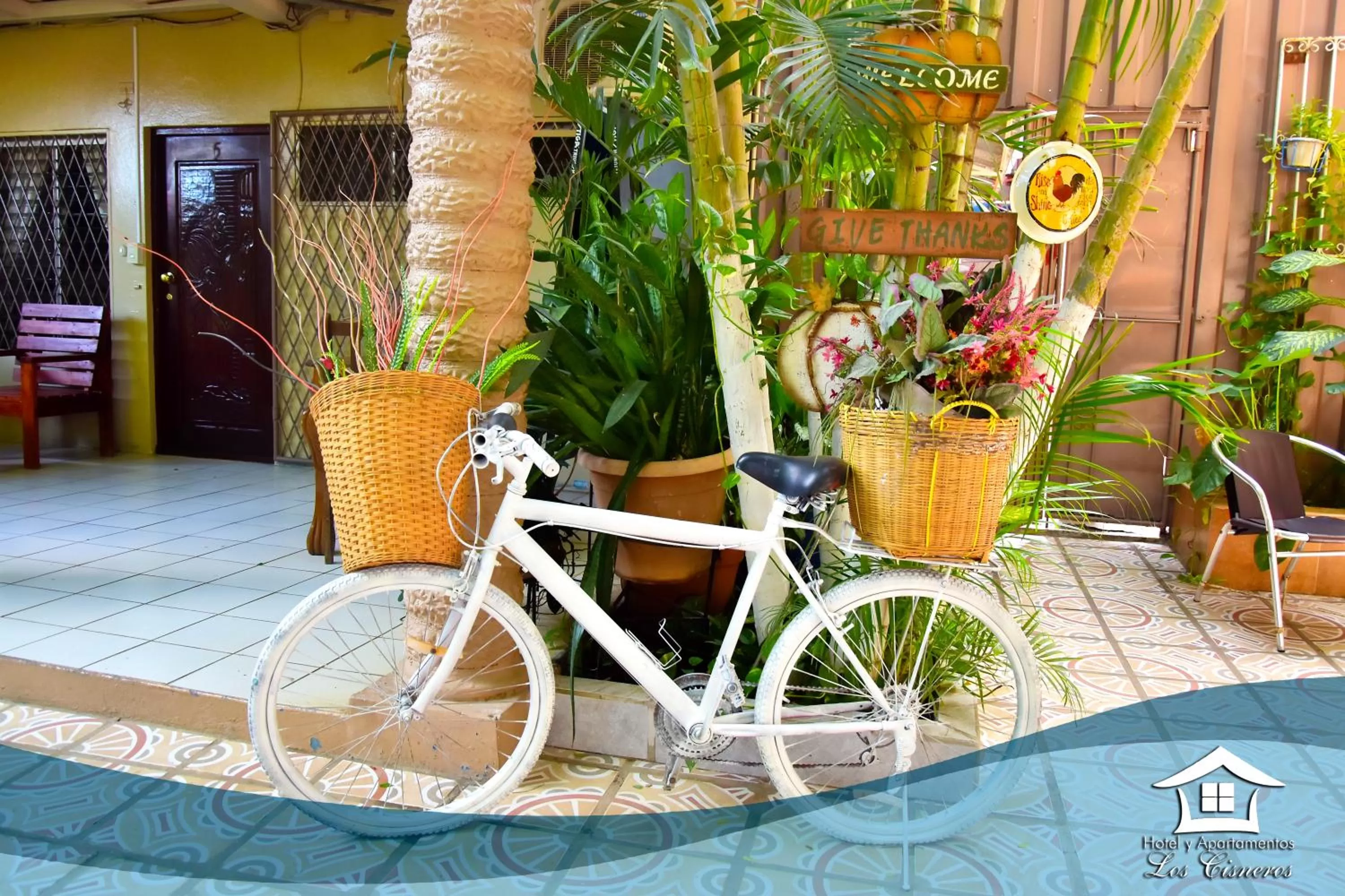 Garden in Hotel y Apartments Los Cisneros