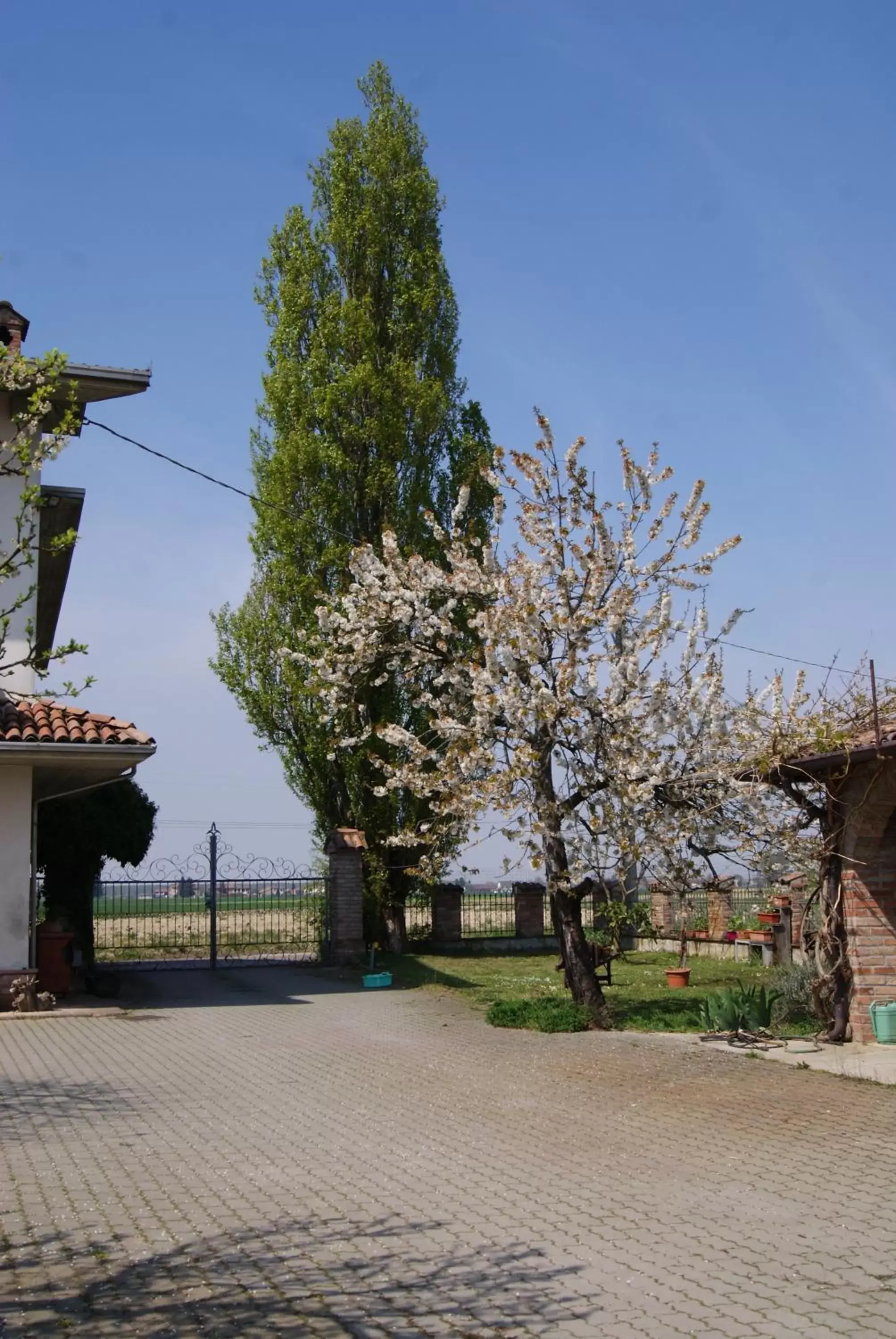 Garden view, Property Building in Antico Pioppo