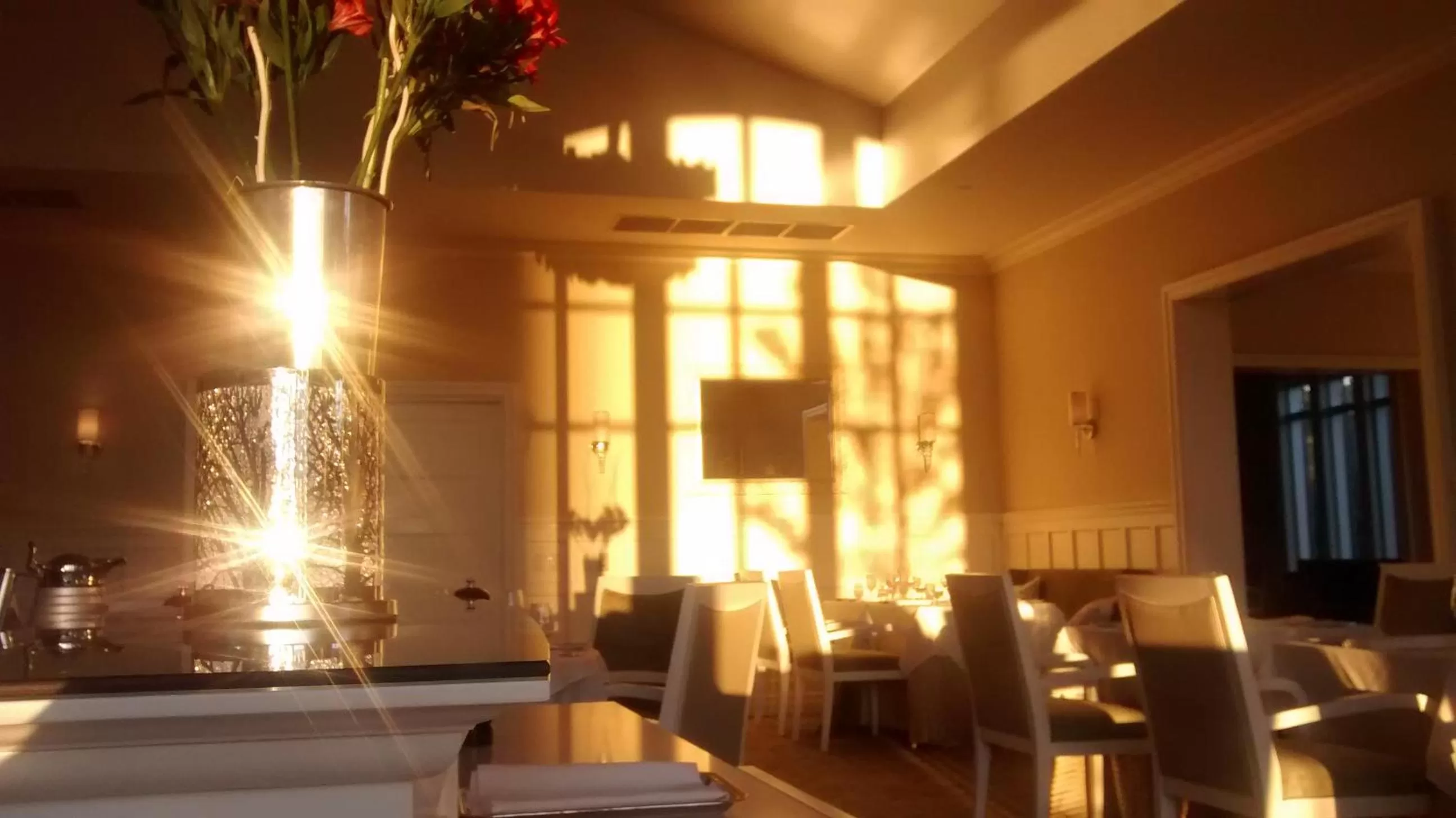 Restaurant/places to eat in The Bruce Hotel