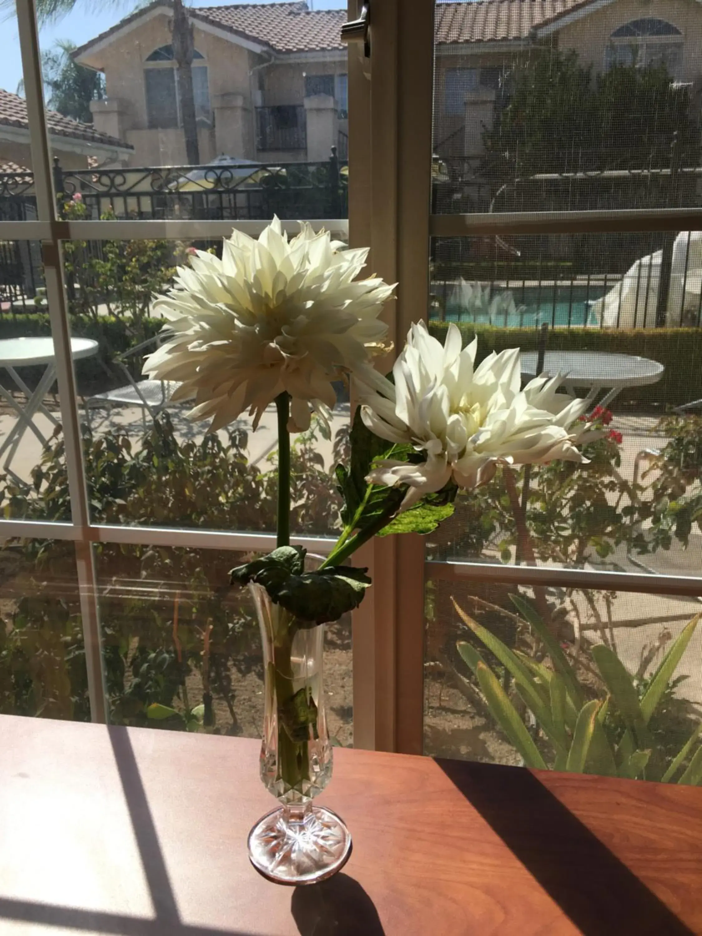 Lobby or reception in Garden Inn and Suites Fresno Lobby or reception in Garden Inn and Suites Fresno