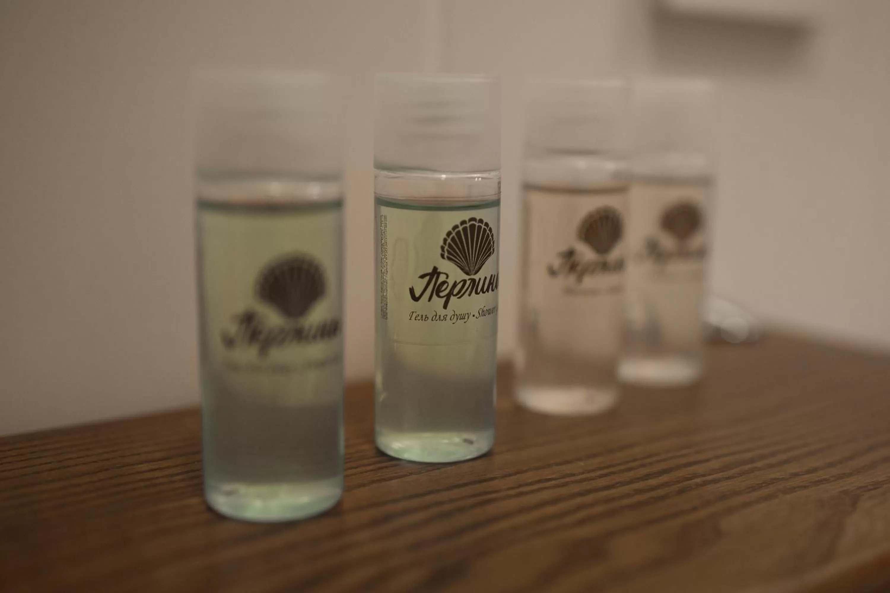 Bathroom in Sicheslav Ekaterinoslav