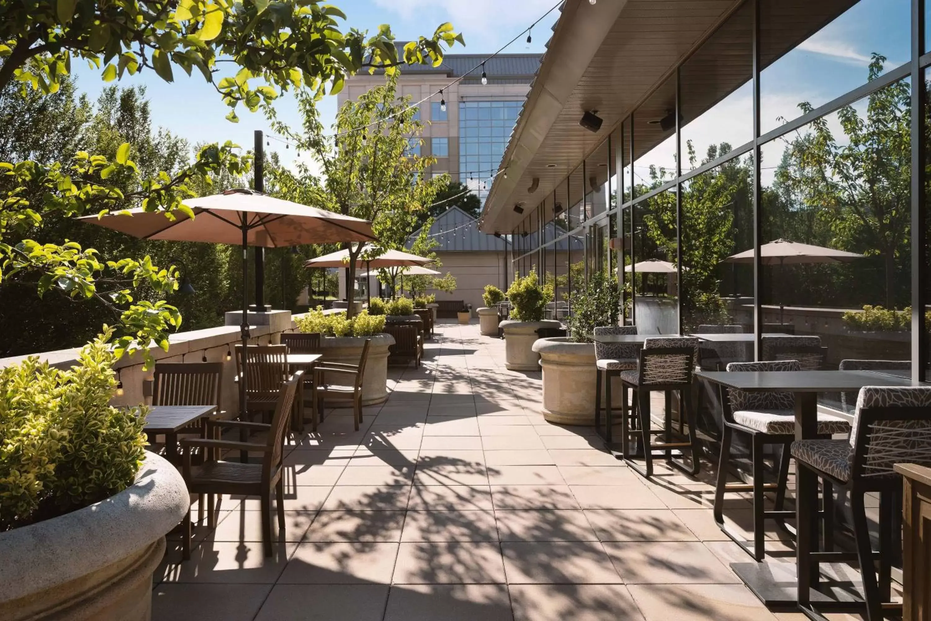 Restaurant/Places to Eat in The Westin Reston Heights