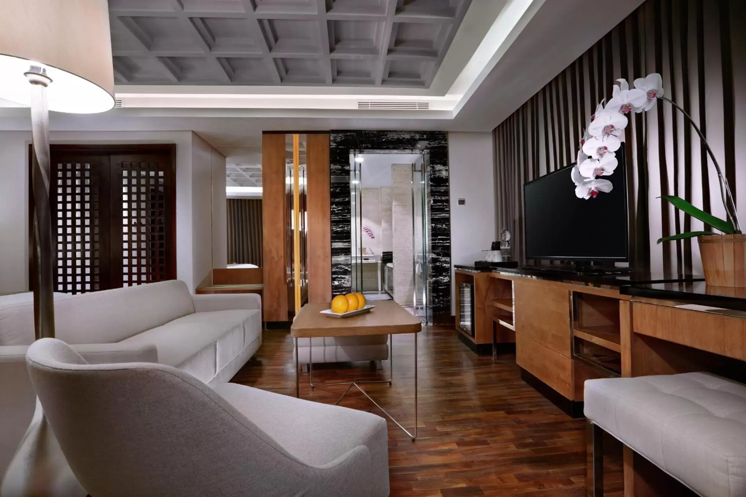 Living room, Lounge/Bar in ASTON Pasteur