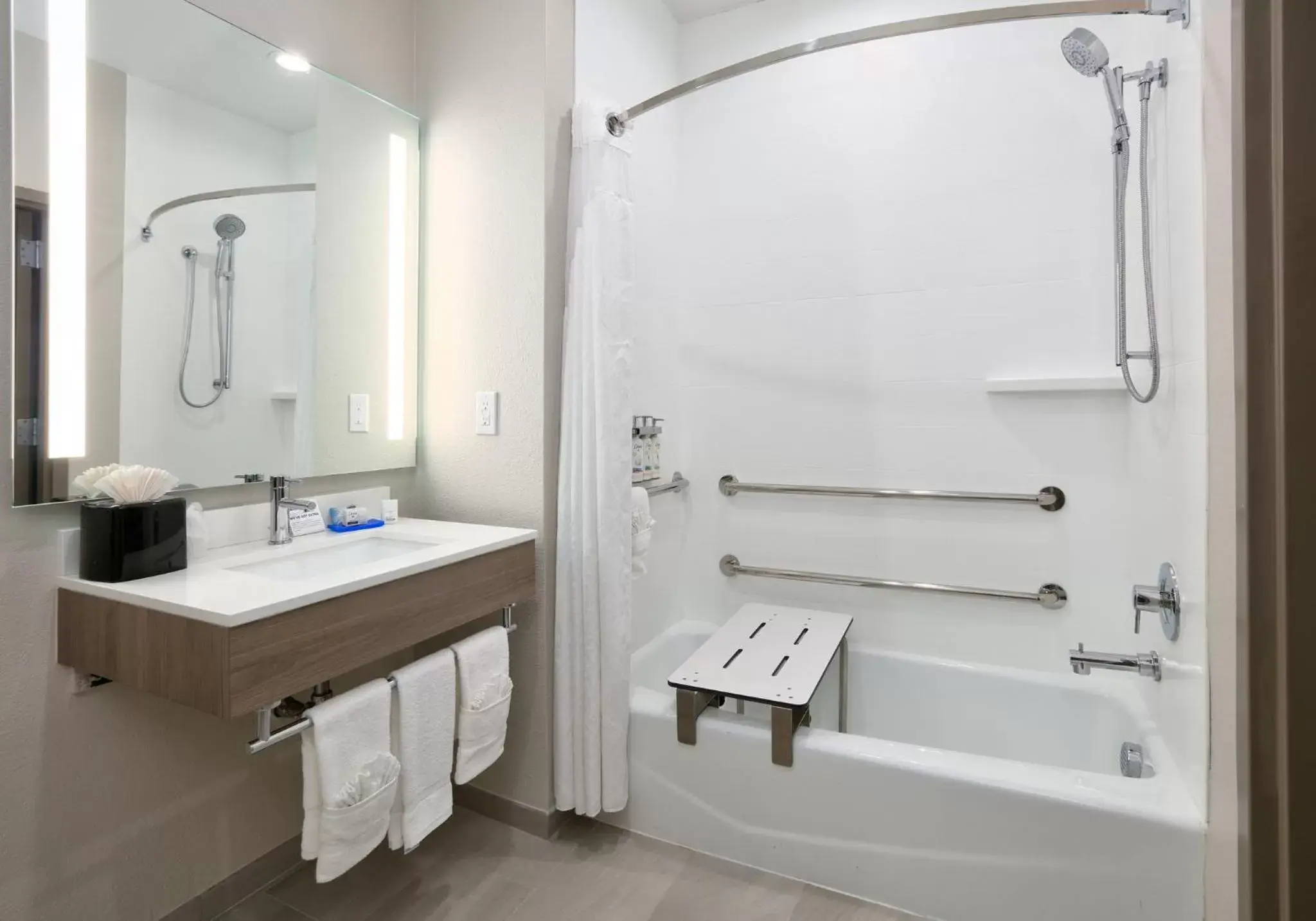 Bathroom in Holiday Inn Express & Suites North Dallas at Preston, an IHG Hotel