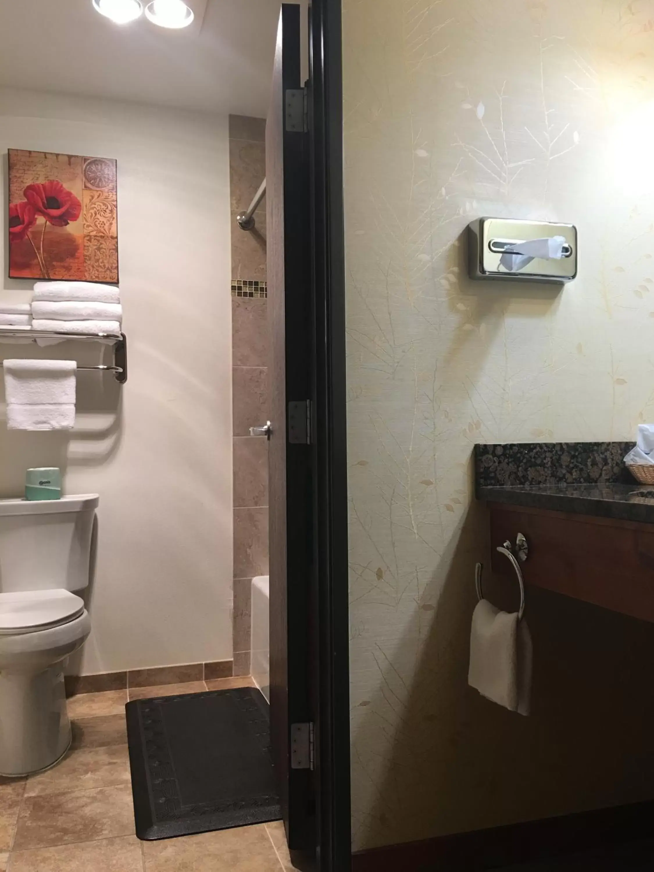 Bathroom in Acorn Motor Inn