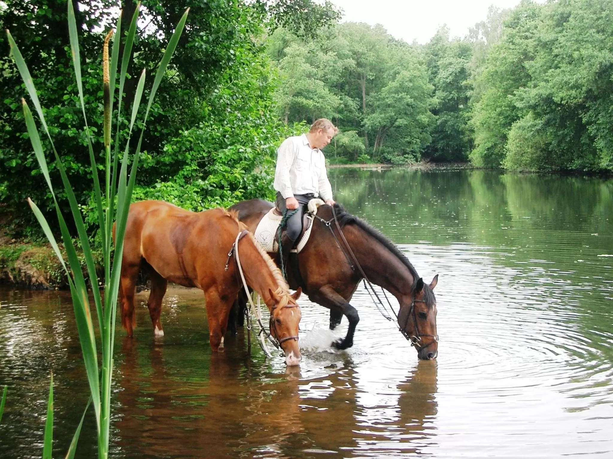 Cycling in Hotel Hof Sudermühlen
